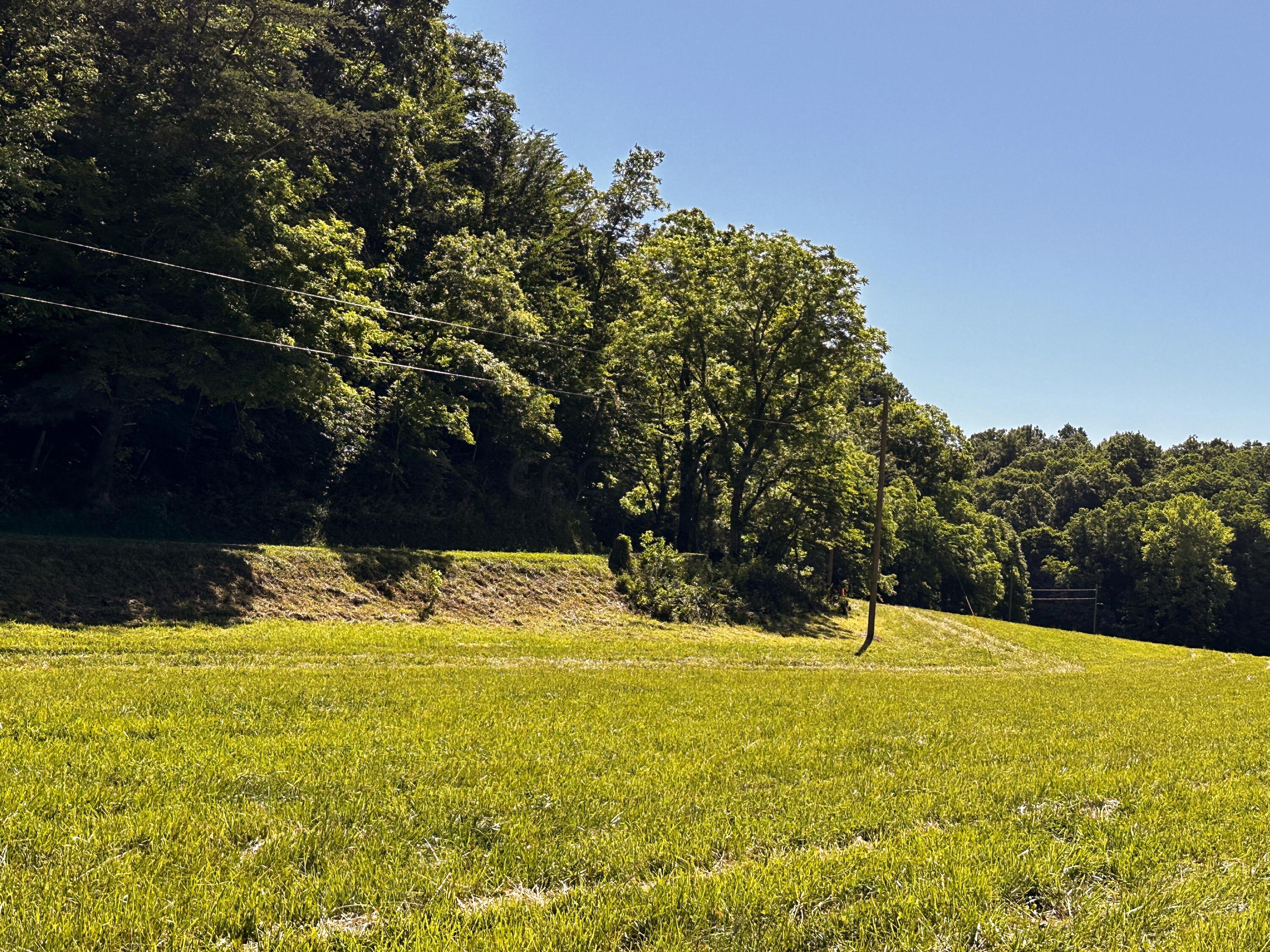 1725 Hull Road, (tract 4 Woods Wayne Forest) Property Photo 16