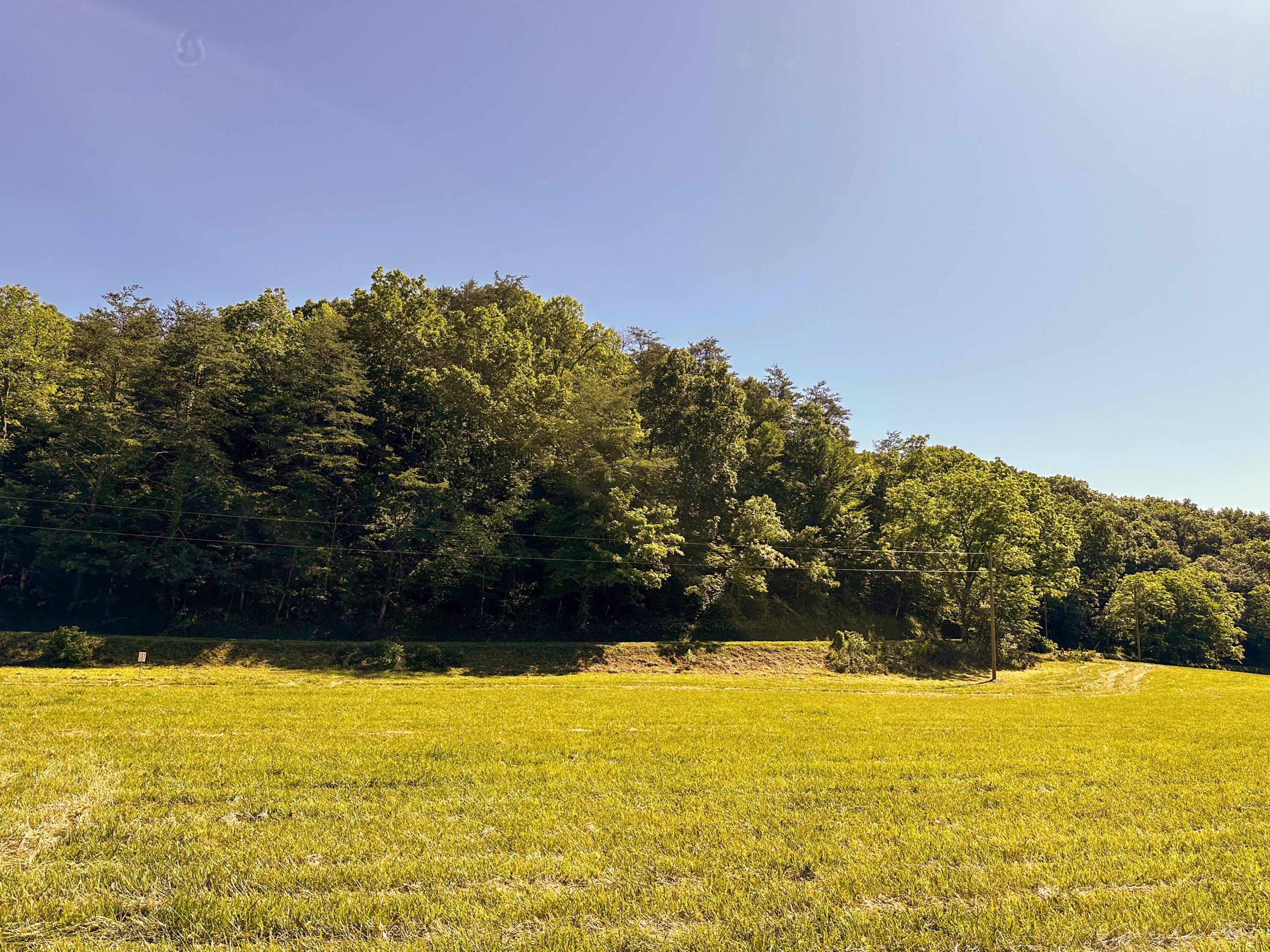 1725 Hull Road, (tract 4 Woods Wayne Forest) Property Photo 17