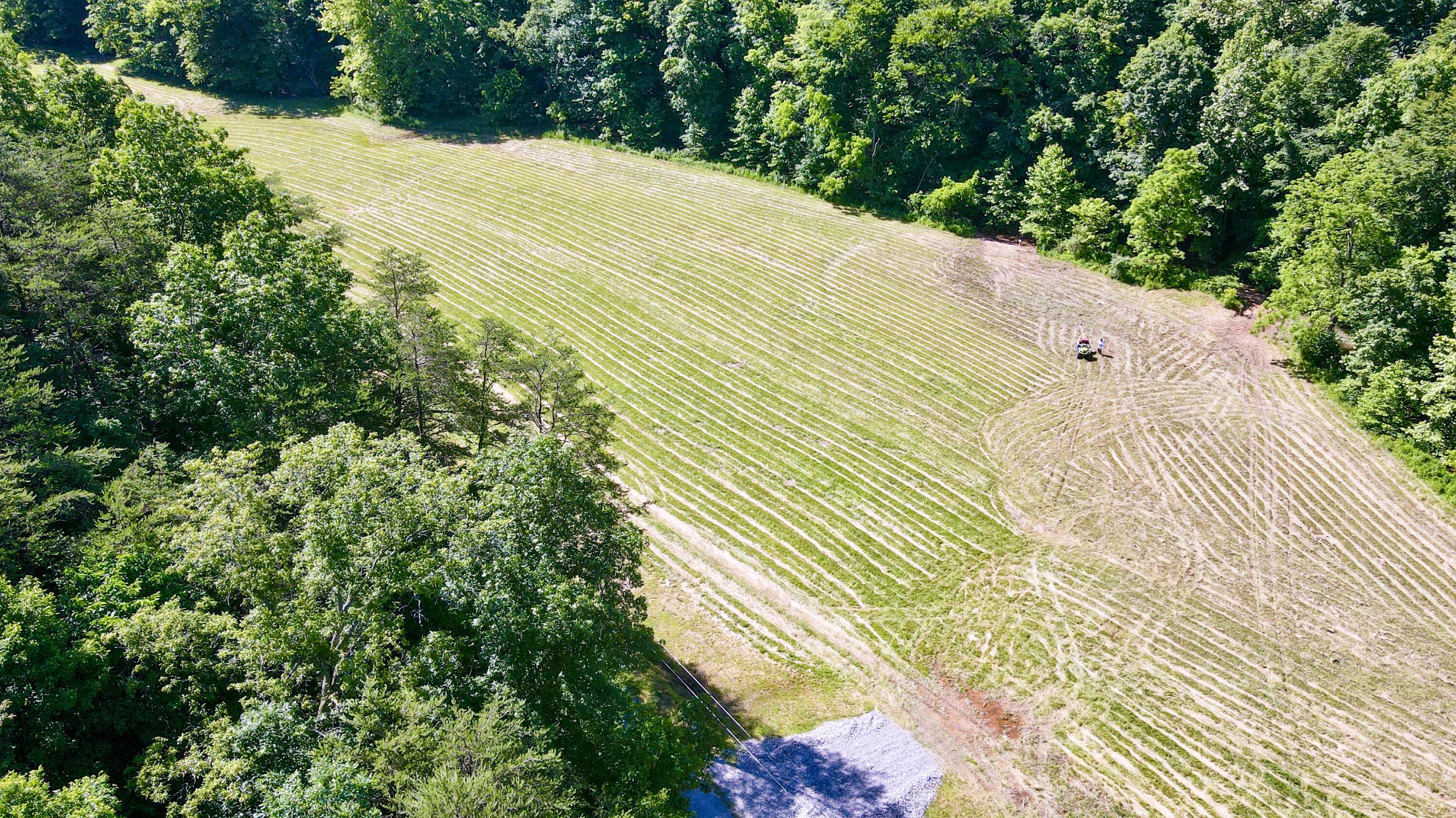 1725 Hull Road, (tract 4 Woods Wayne Forest) Property Photo 18