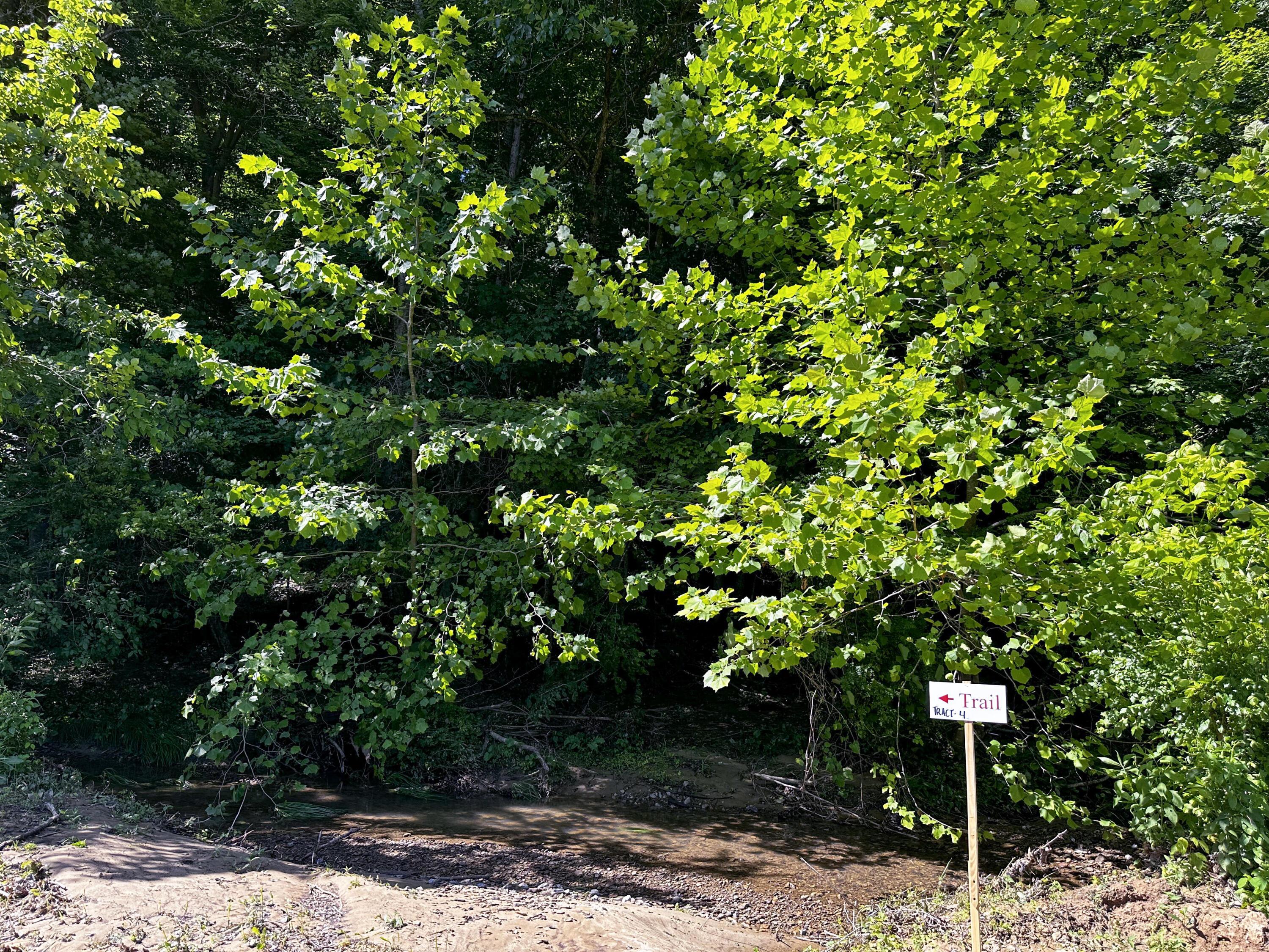1725 Hull Road, (tract 4 Woods Wayne Forest) Property Photo 25