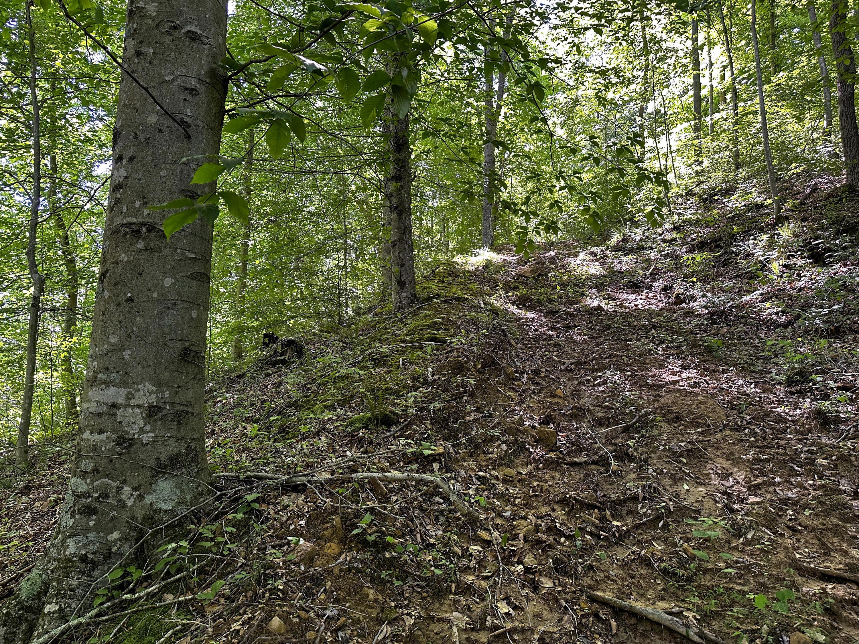 1725 Hull Road, (tract 4 Woods Wayne Forest) Property Photo 30