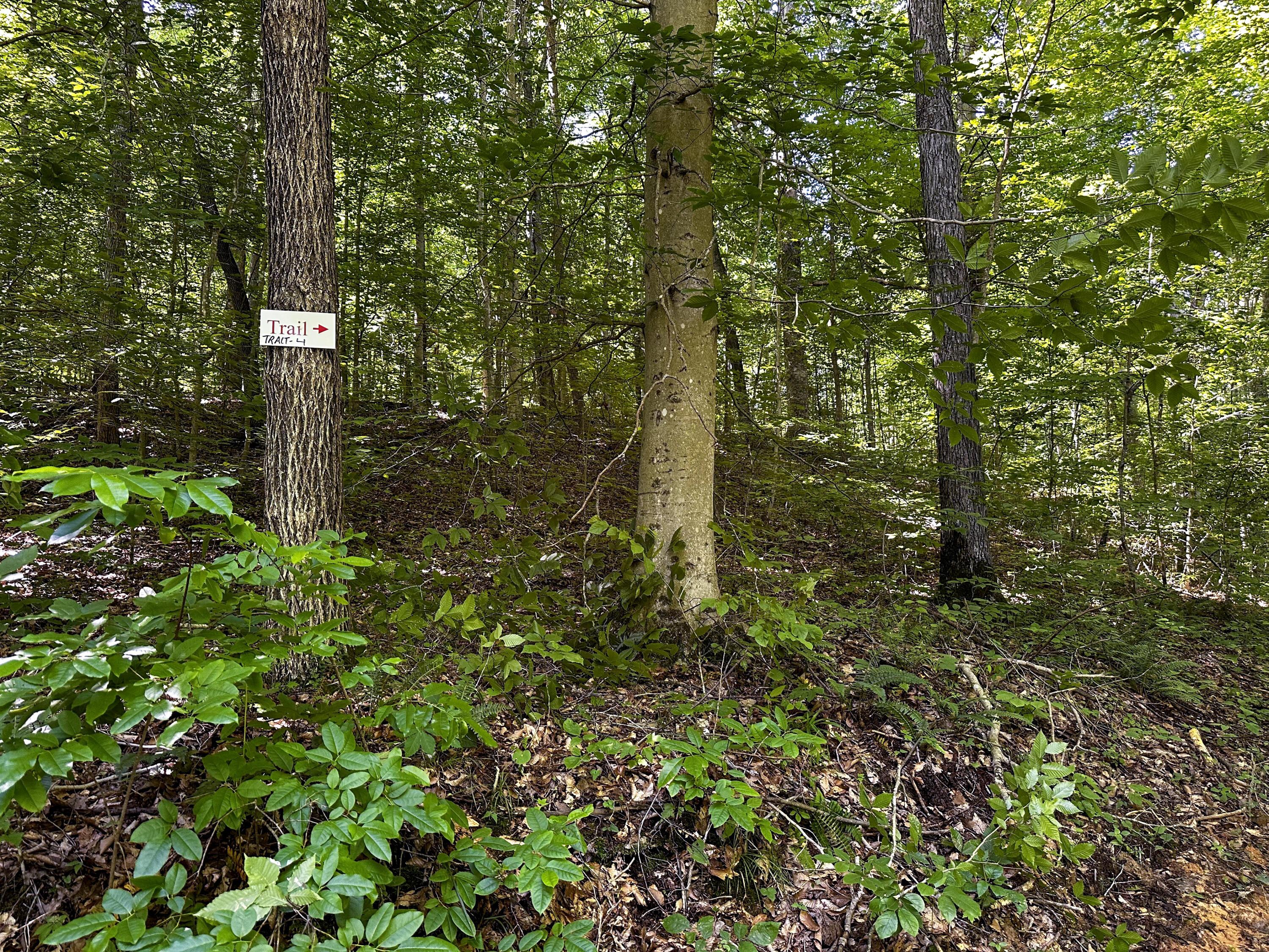 1725 Hull Road, (tract 4 Woods Wayne Forest) Property Photo 31