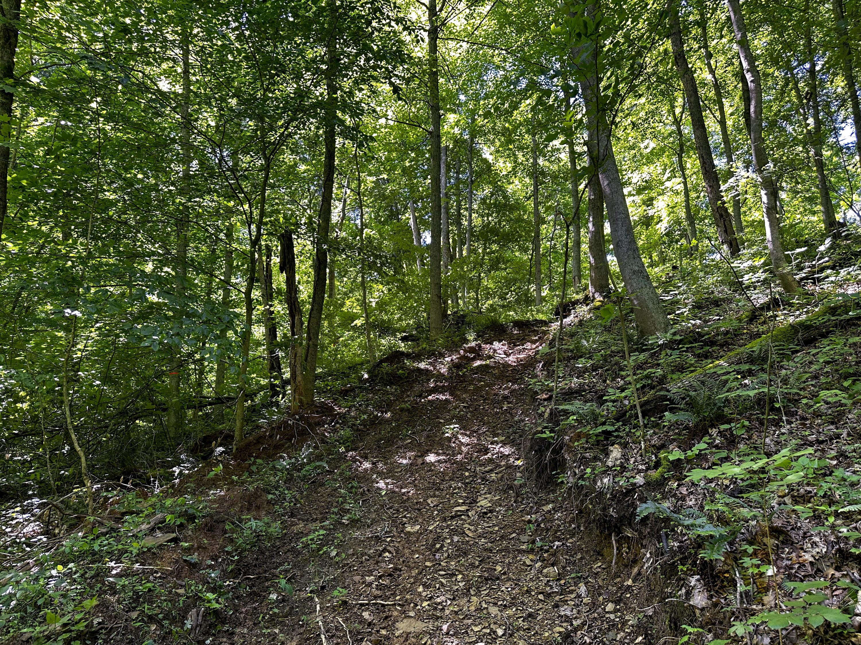 1725 Hull Road, (tract 4 Woods Wayne Forest) Property Photo 38