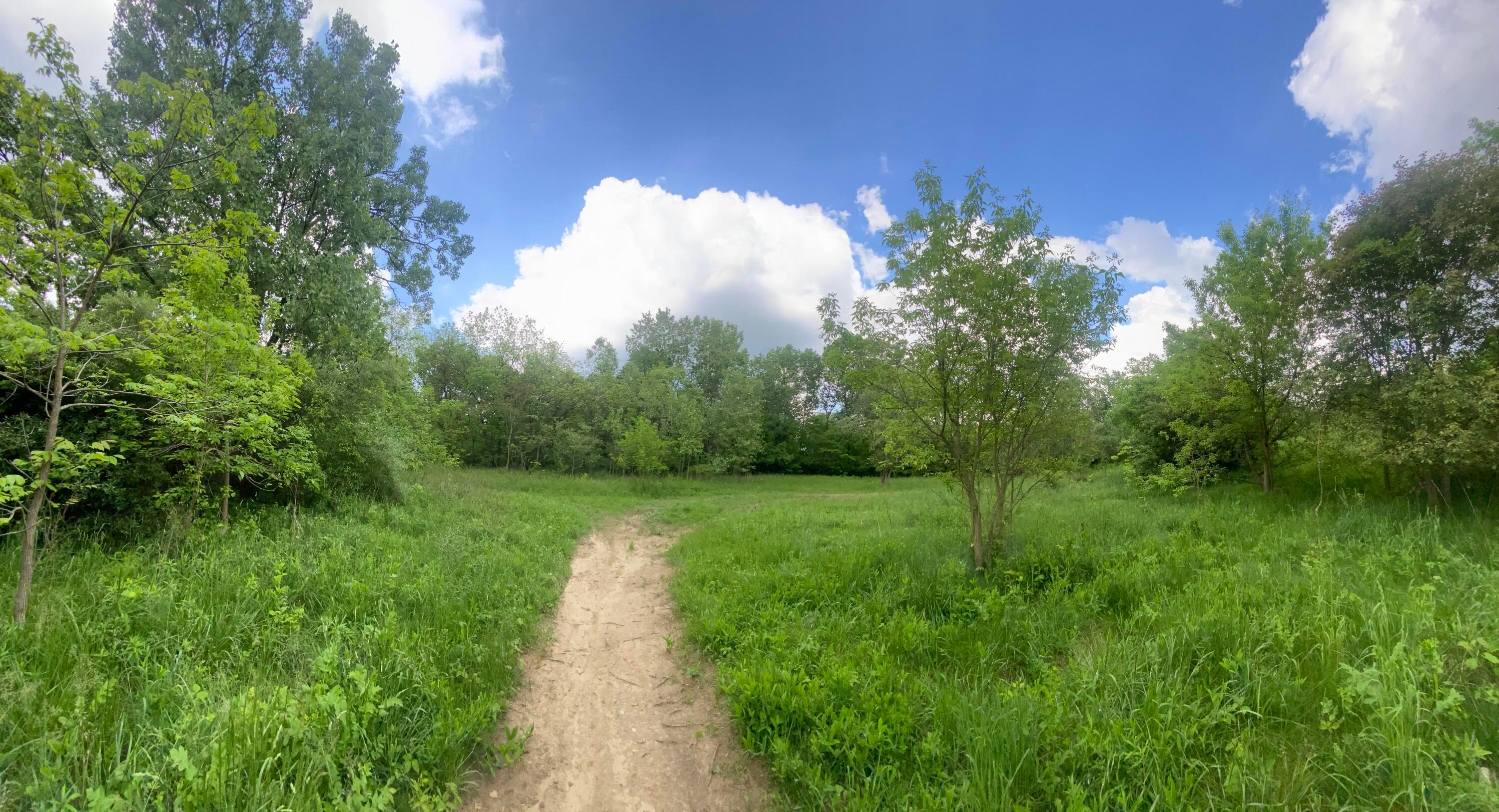 0 Woodville Road, Lot #14952 Property Photo 13