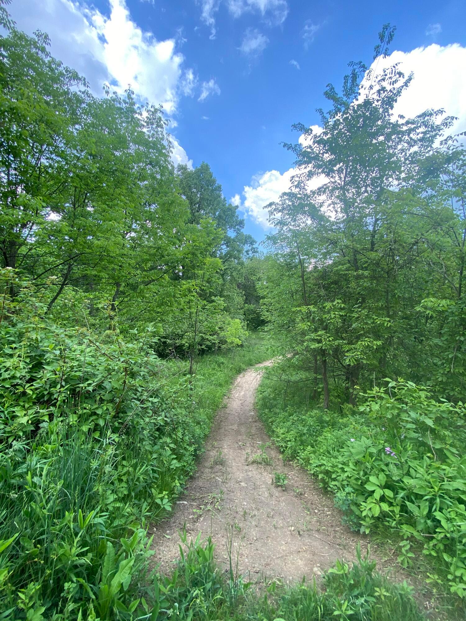 0 Woodville Road, Lot #14952 Property Photo 14