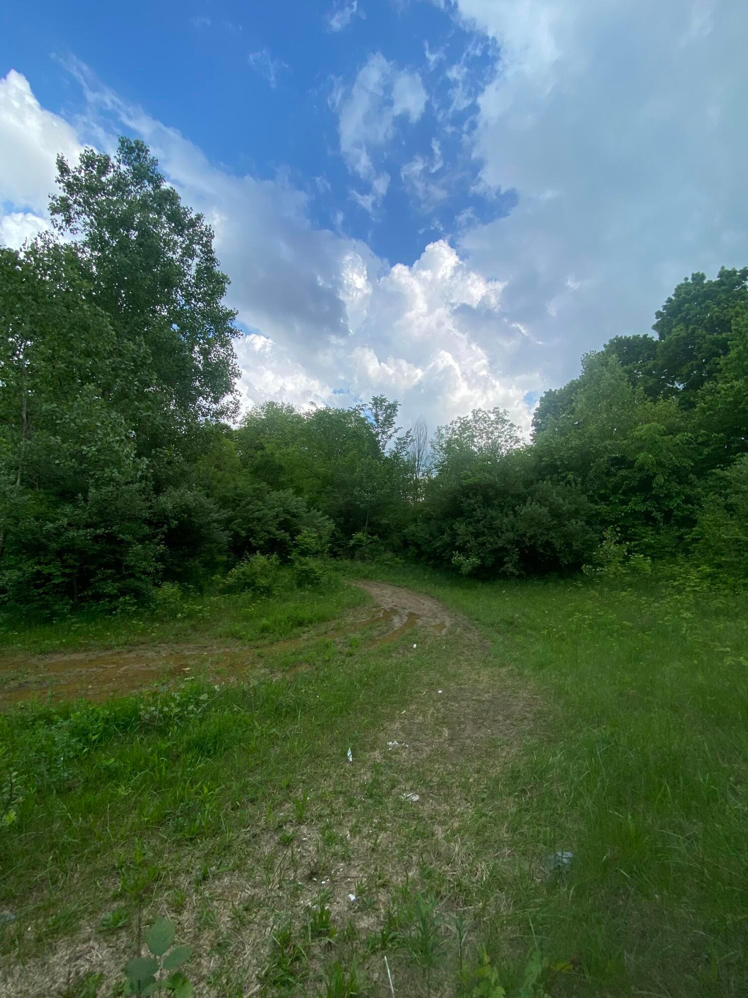 0 Woodville Road, Lot #14952 Property Photo 17