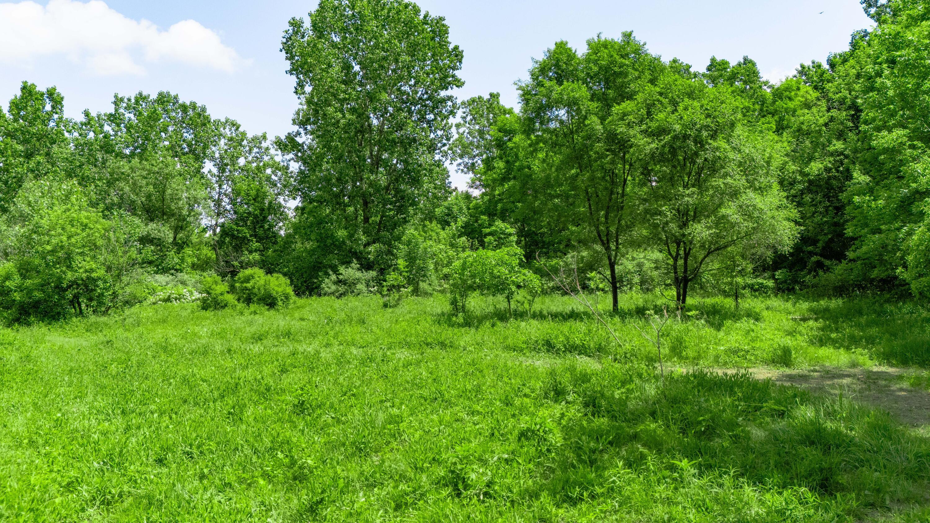0 Woodville Road, Lot #14952 Property Photo 19