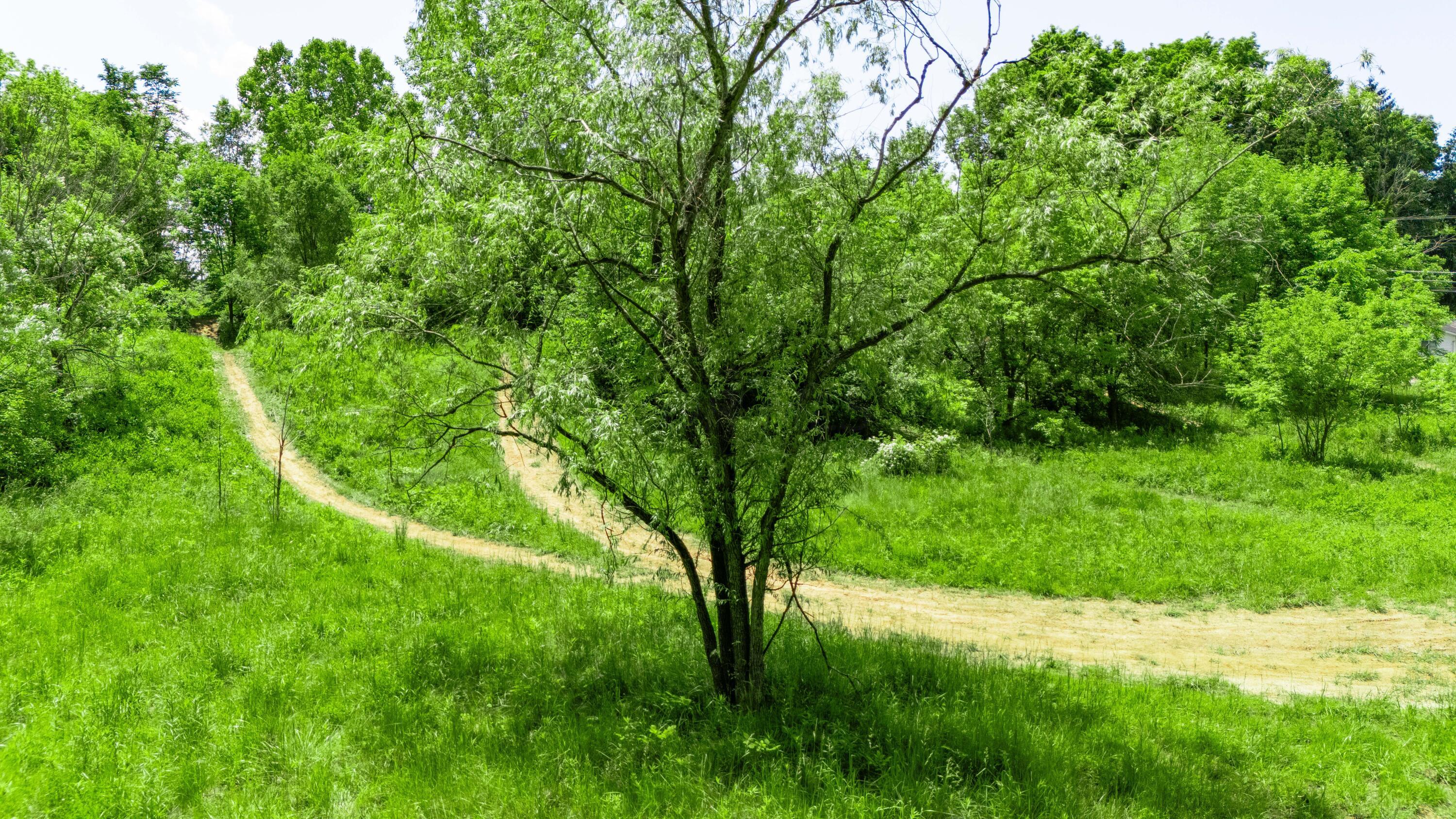 0 Woodville Road, Lot #14952 Property Photo 22