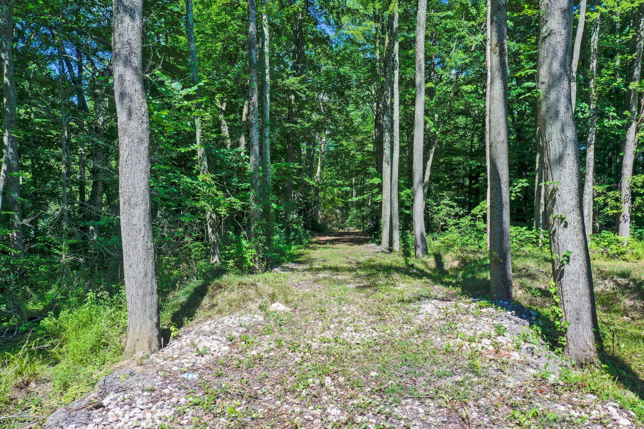 0 Babbitt Road Property Photo 3