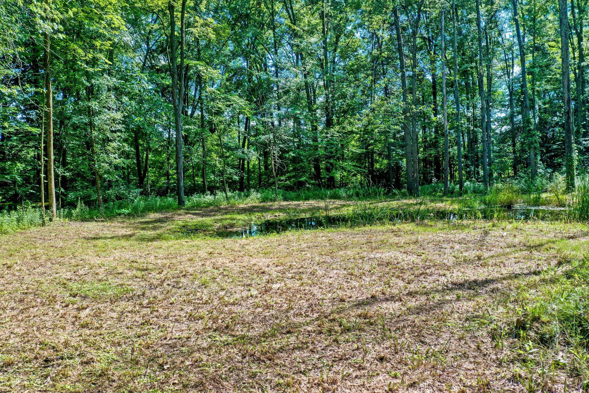 0 Babbitt Road Property Photo 9
