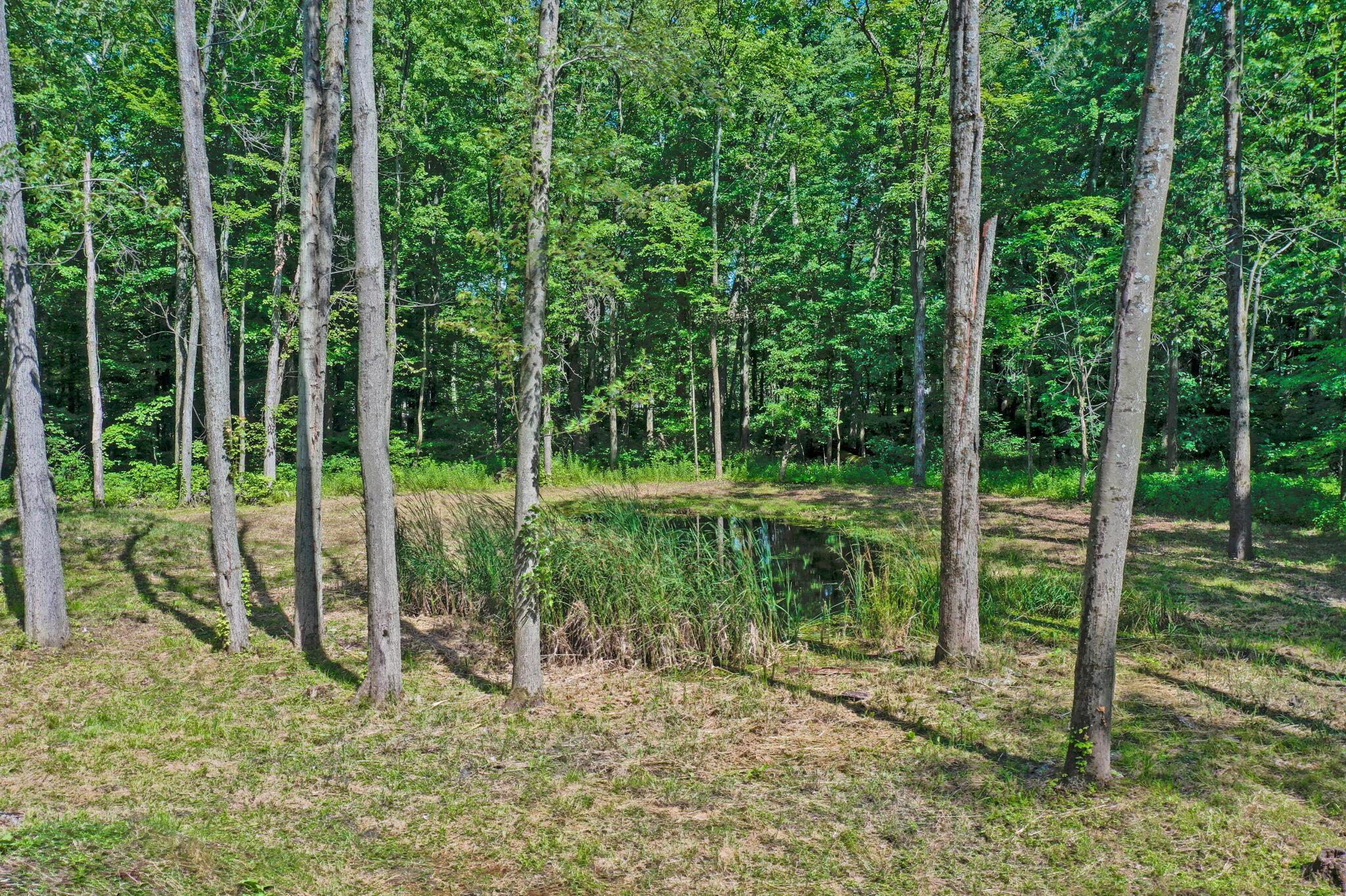 0 Babbitt Road Property Photo 10