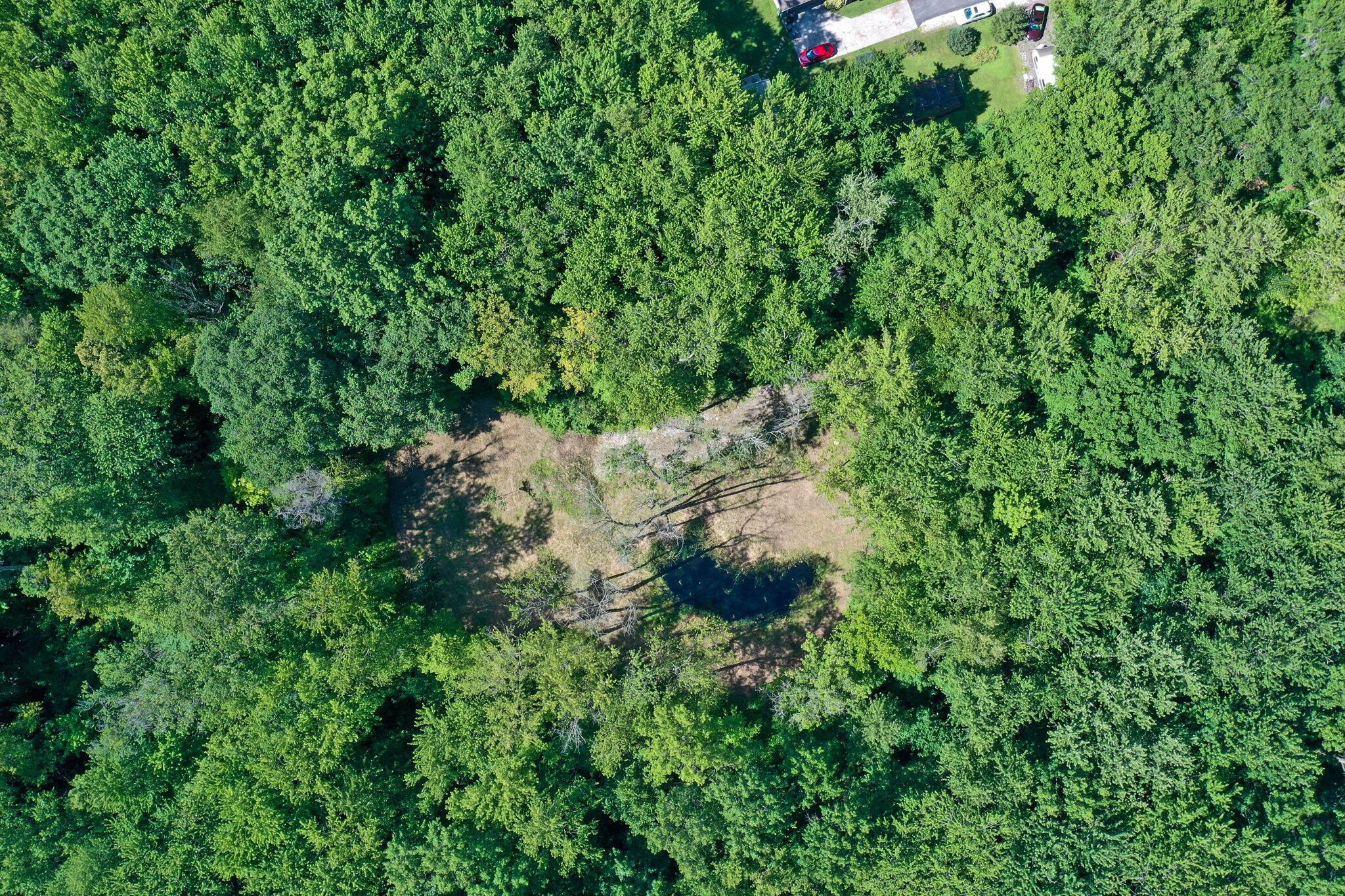 0 Babbitt Road Property Photo 16