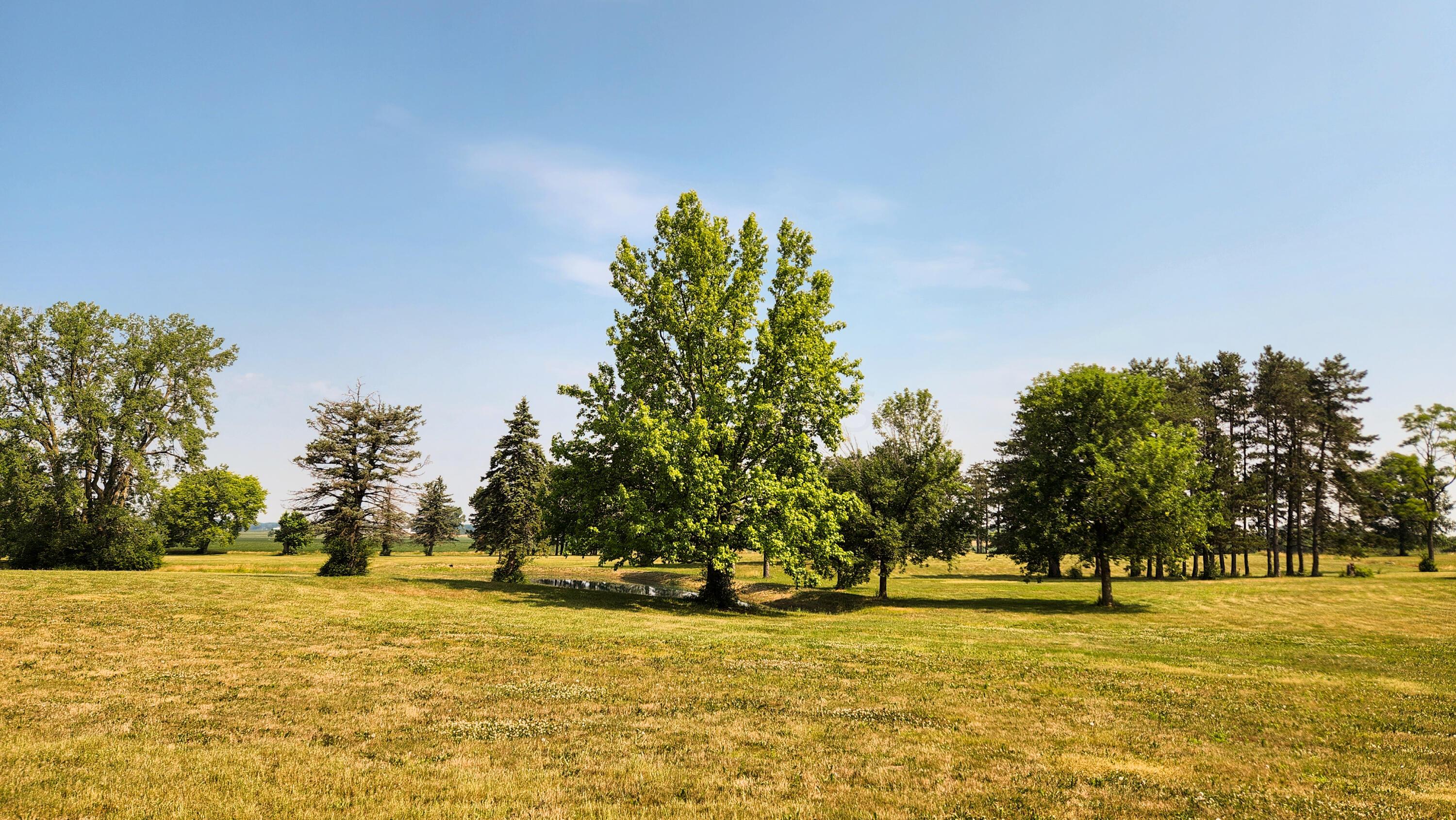 1761 Winchester Road, (tract 10 Walnut Meadows) Property Photo 13