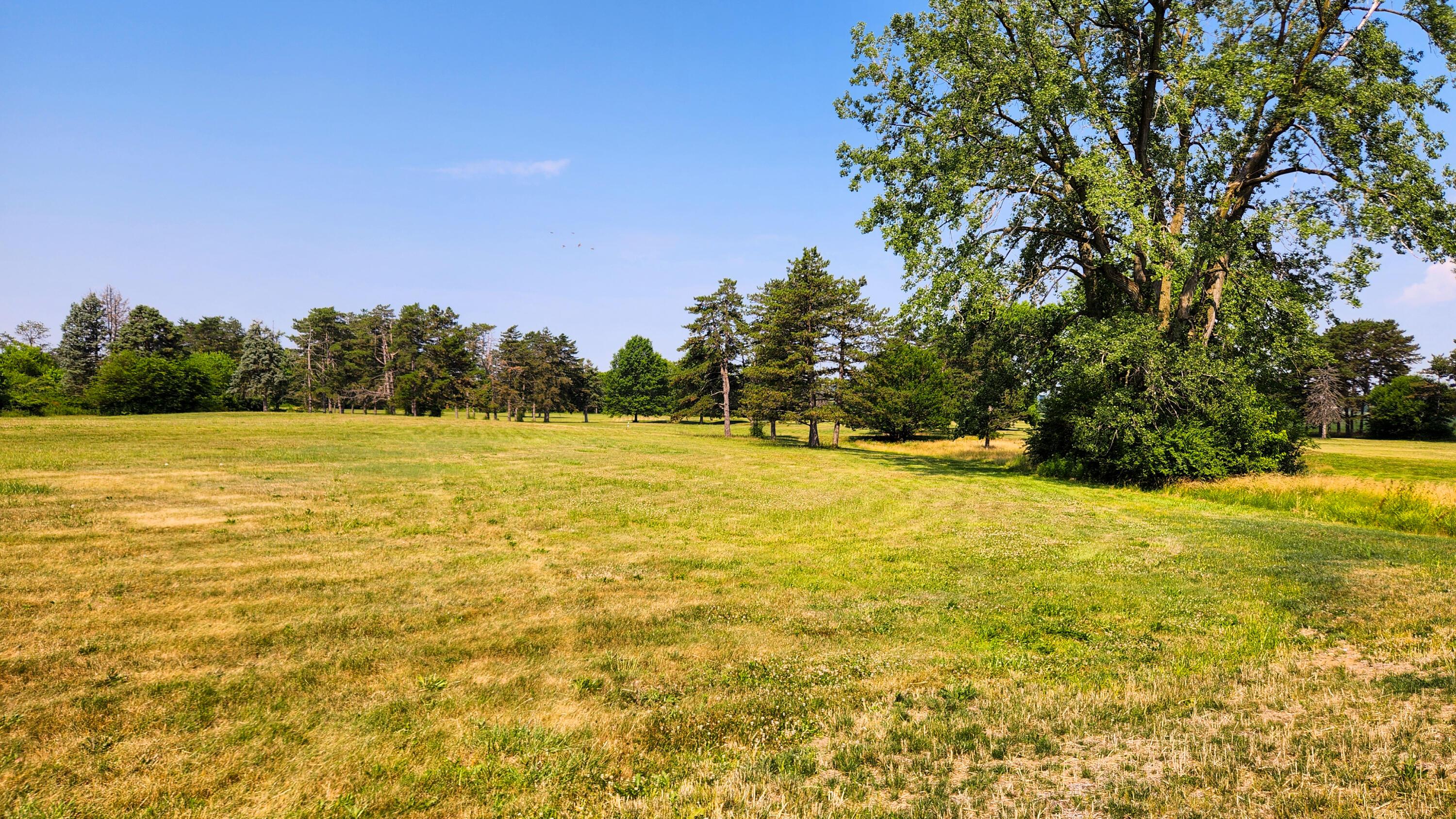 1761 Winchester Road, (tract 10 Walnut Meadows) Property Photo 27