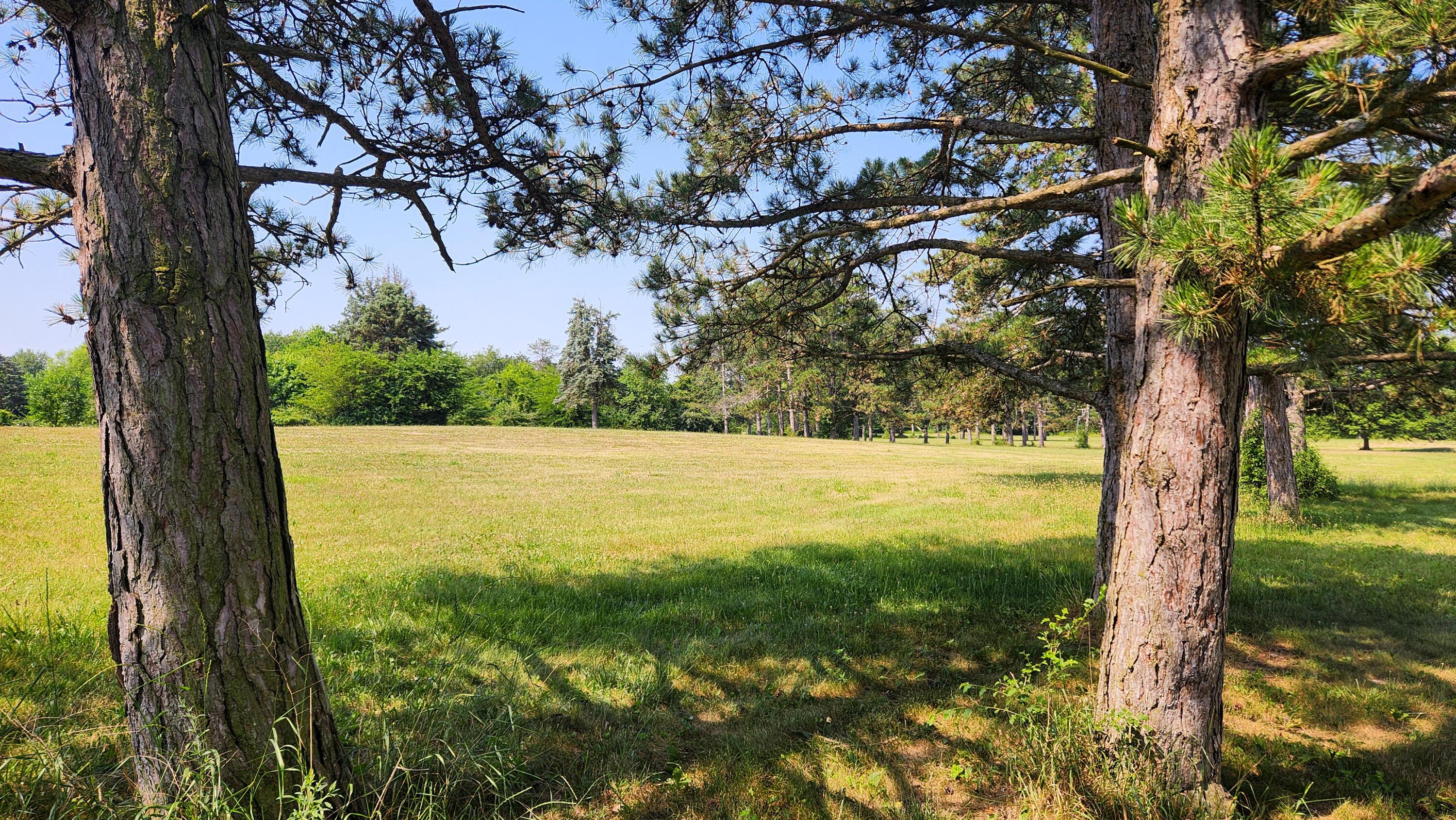 1761 Winchester Road, (tract 10 Walnut Meadows) Property Photo 33