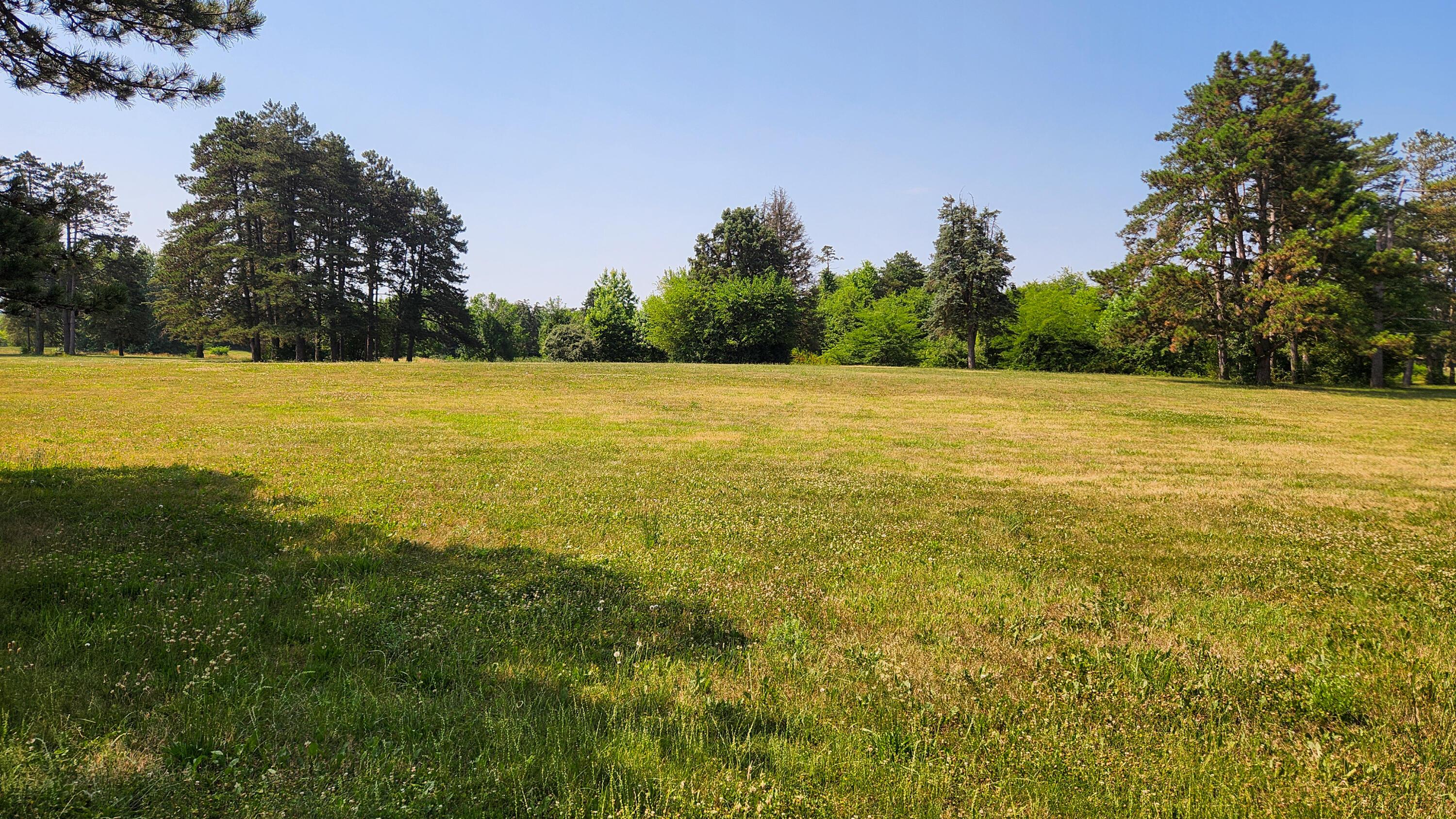 1761 Winchester Road, (tract 10 Walnut Meadows) Property Photo 35