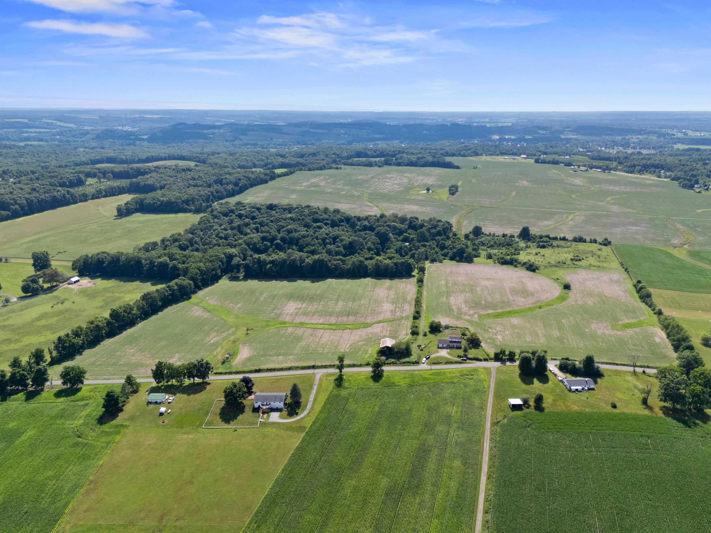 12943 Cooksey Road Property Photo 6