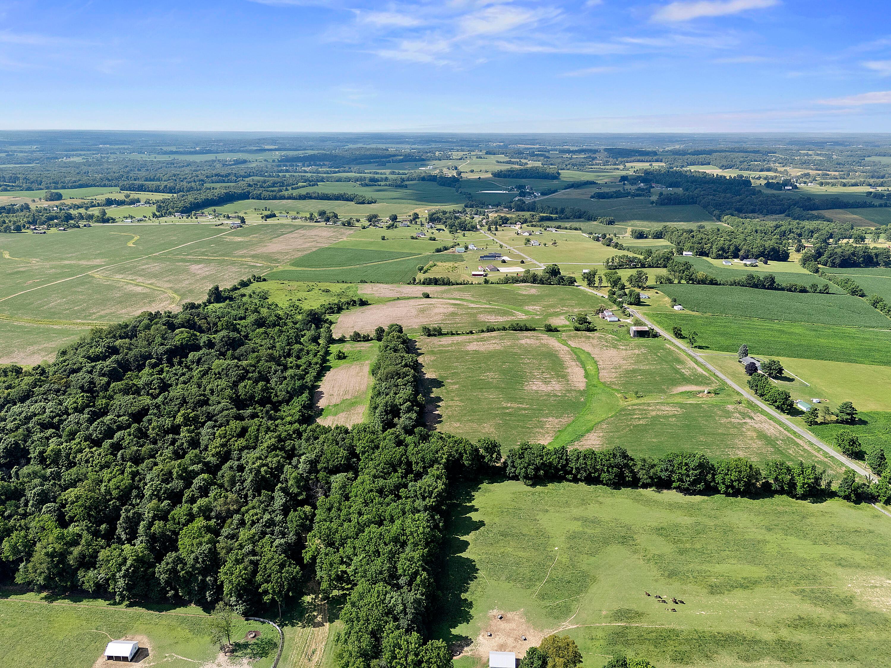 12943 Cooksey Road Property Photo 8