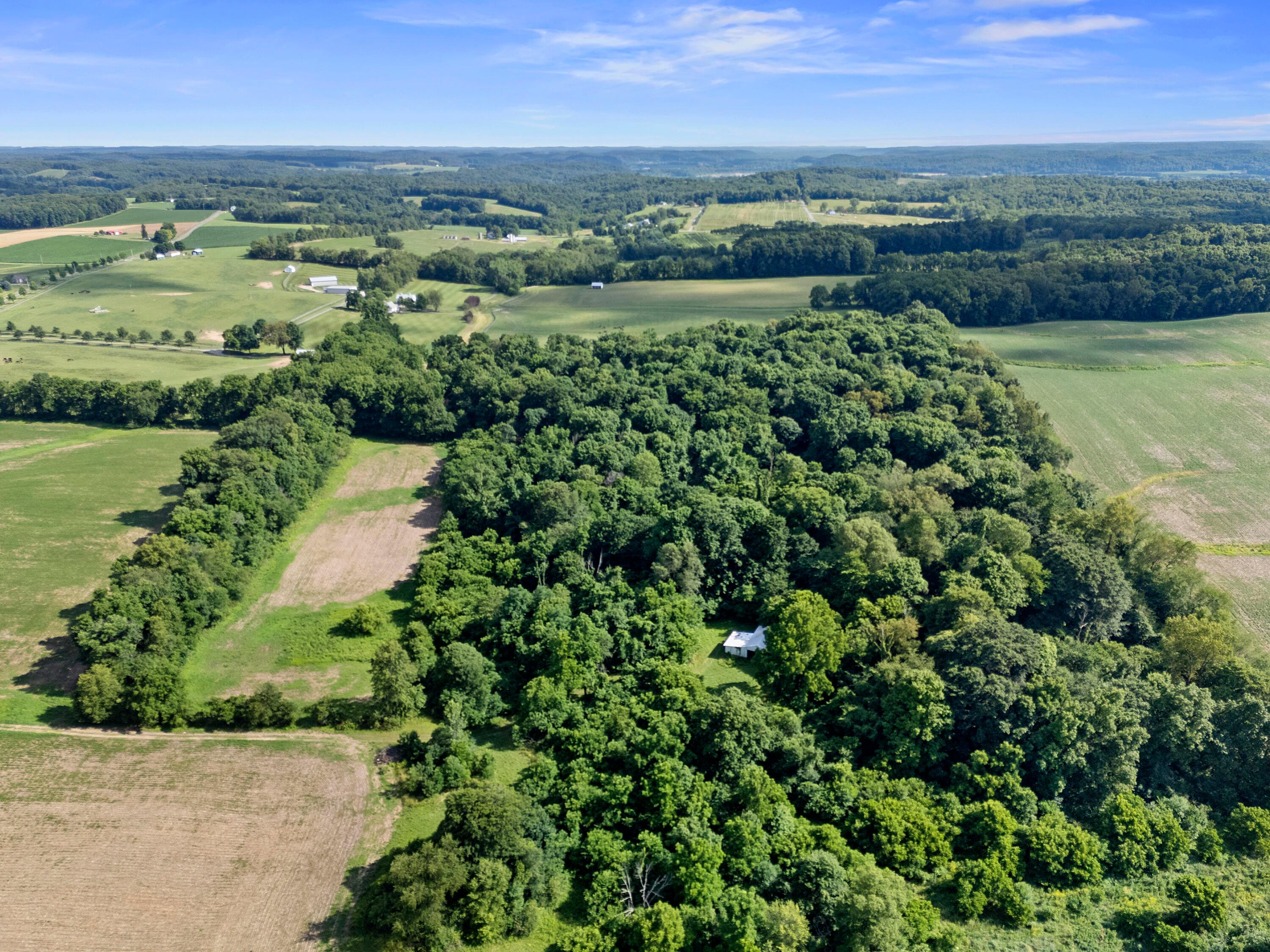 12943 Cooksey Road Property Photo 14