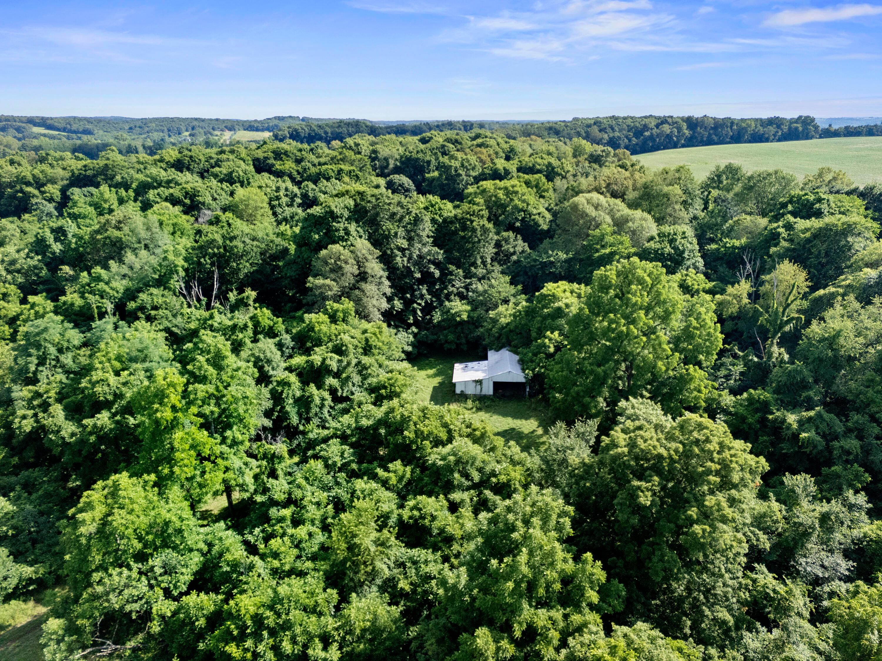 12943 Cooksey Road Property Photo 15