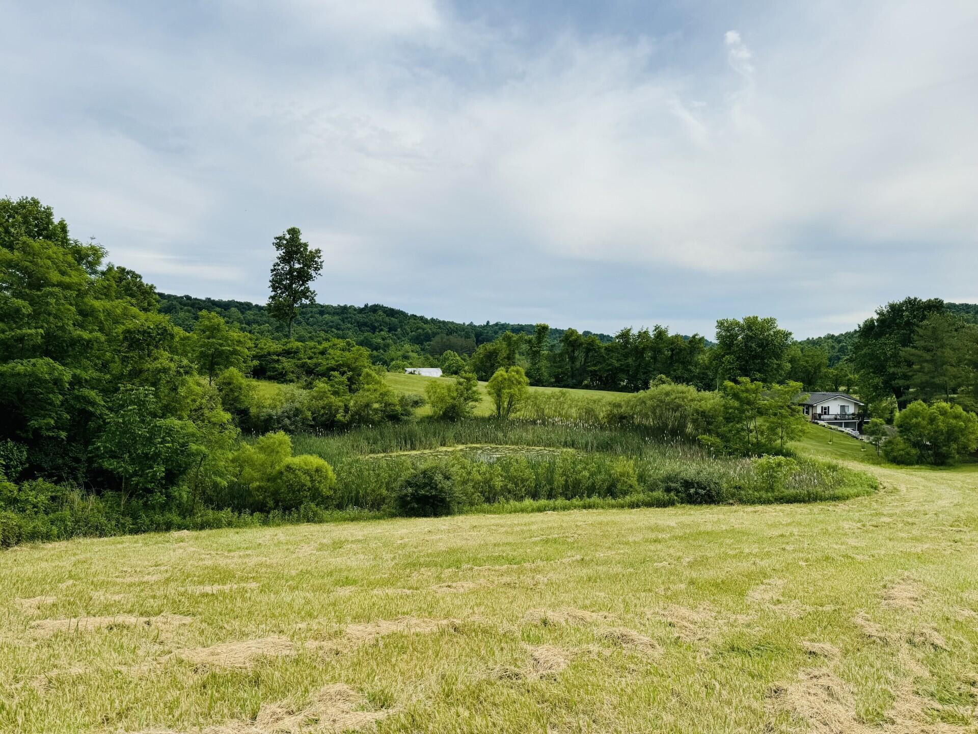 37416 New Lima Road Property Photo 1