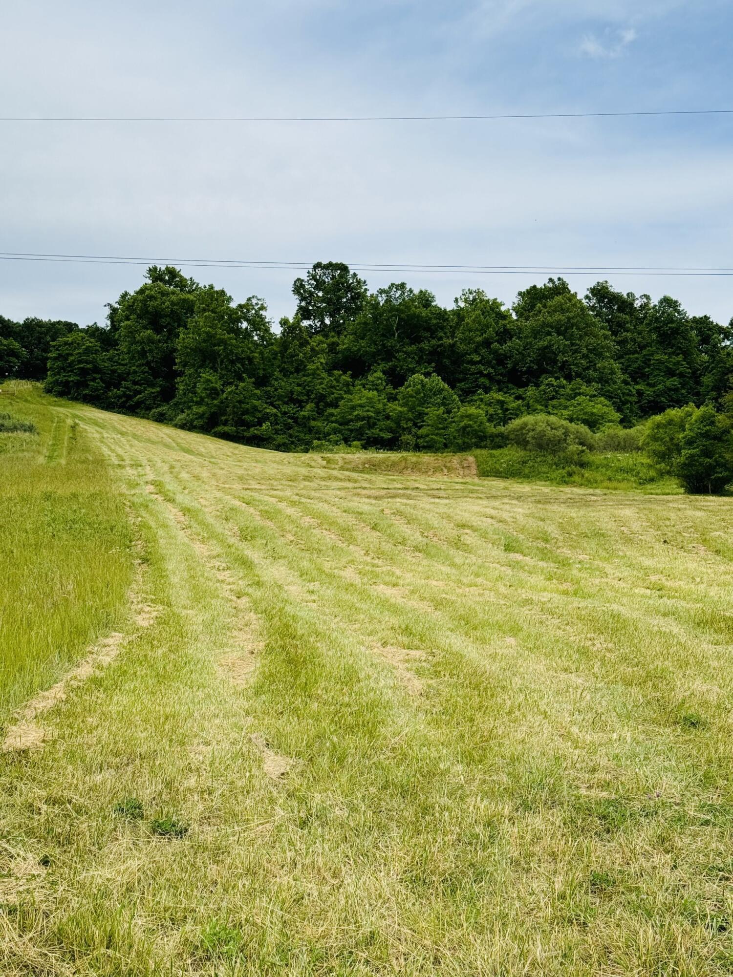 37416 New Lima Road Property Photo 4