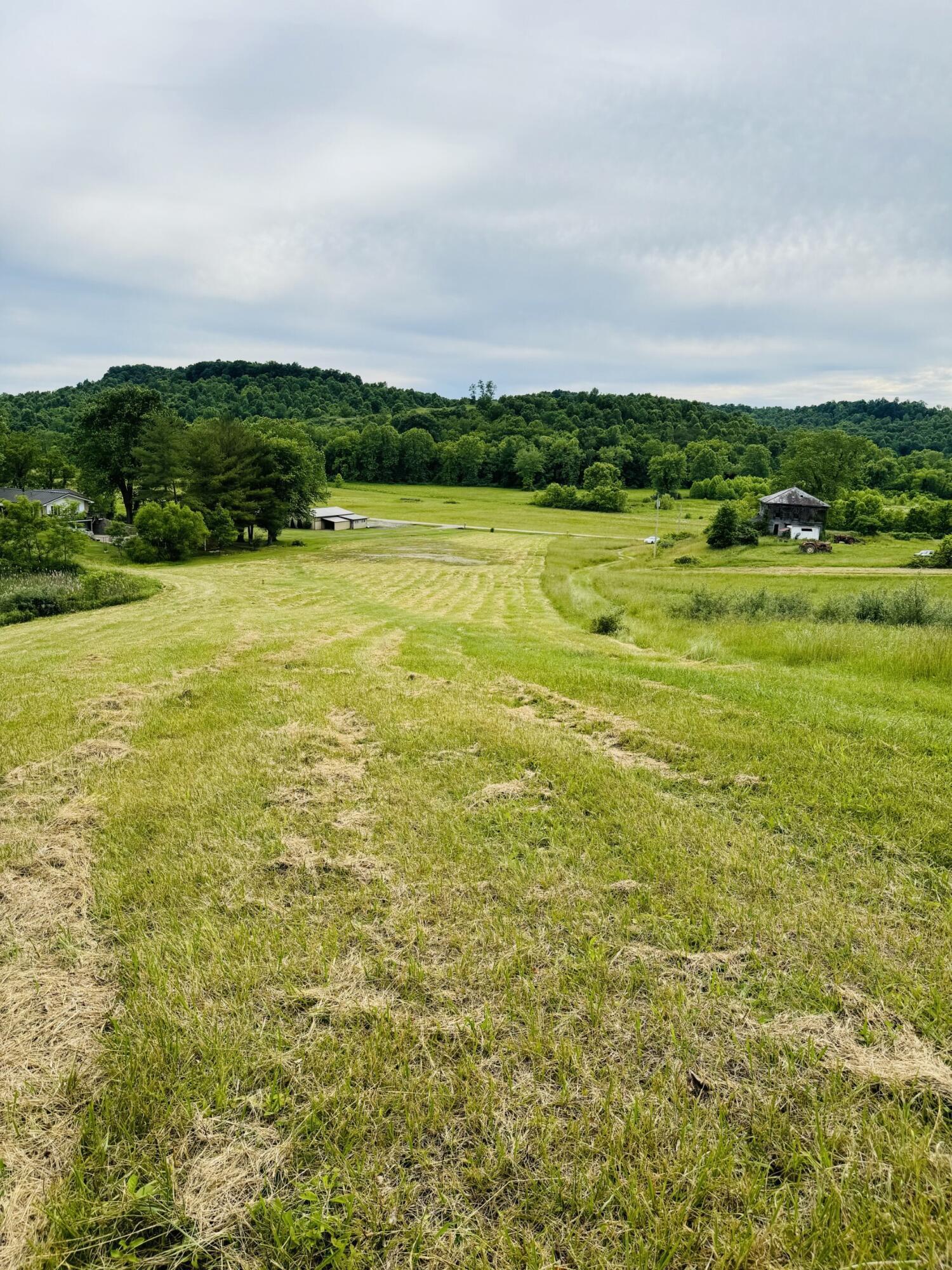 37416 New Lima Road Property Photo 5