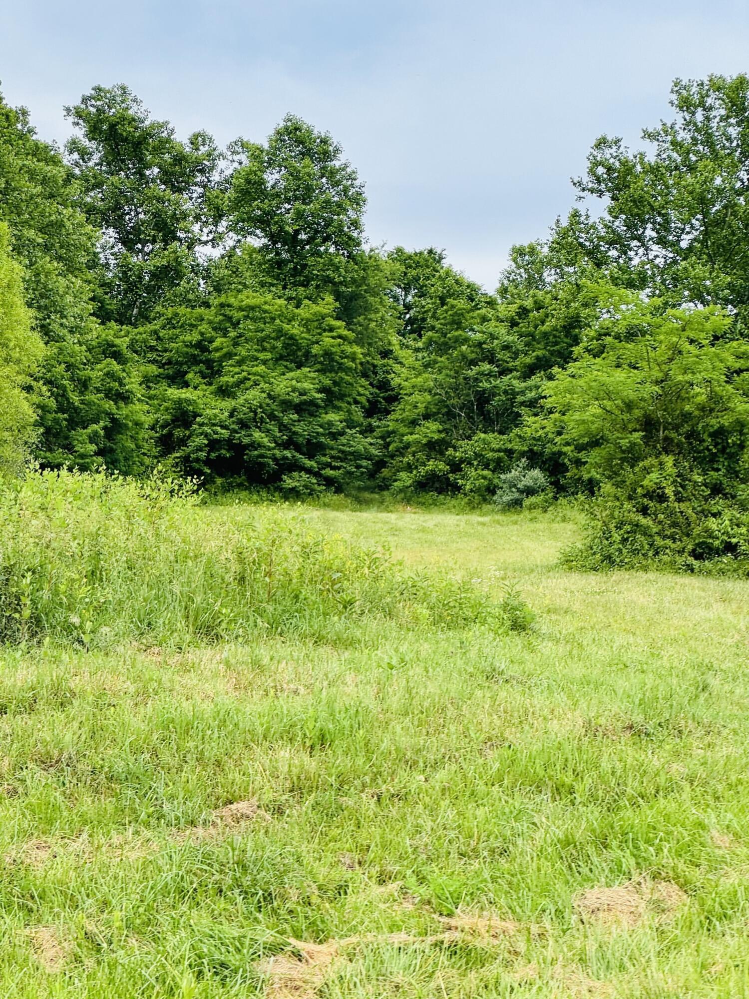 37416 New Lima Road Property Photo 6