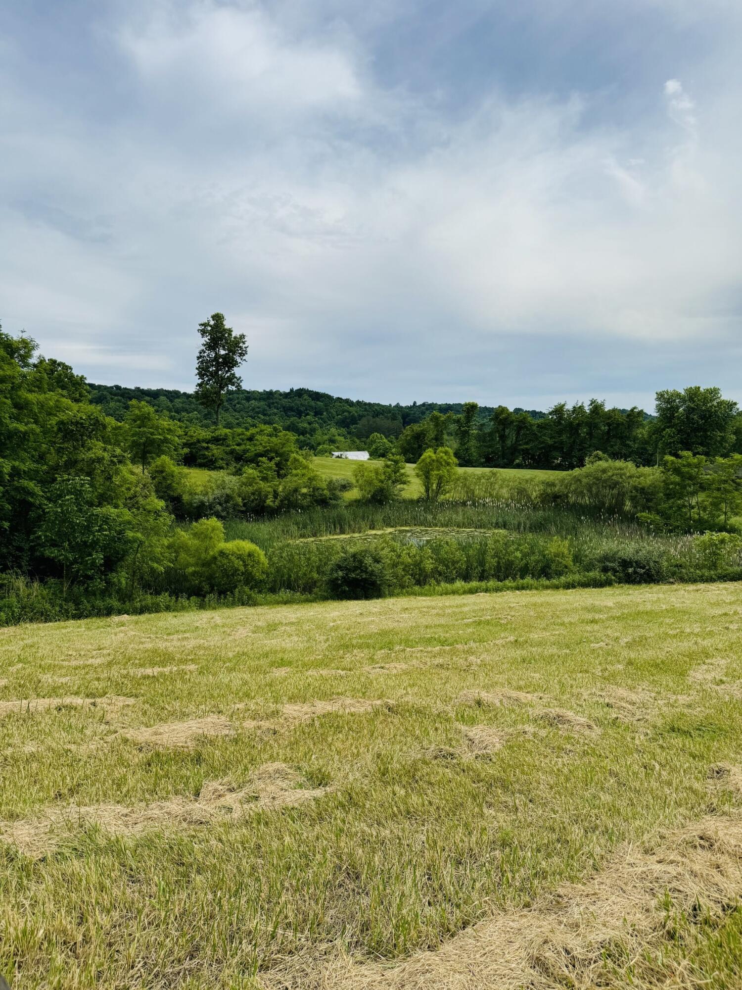 37416 New Lima Road Property Photo 7