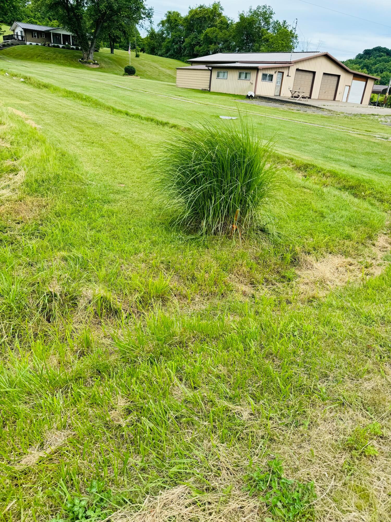 37416 New Lima Road Property Photo 10