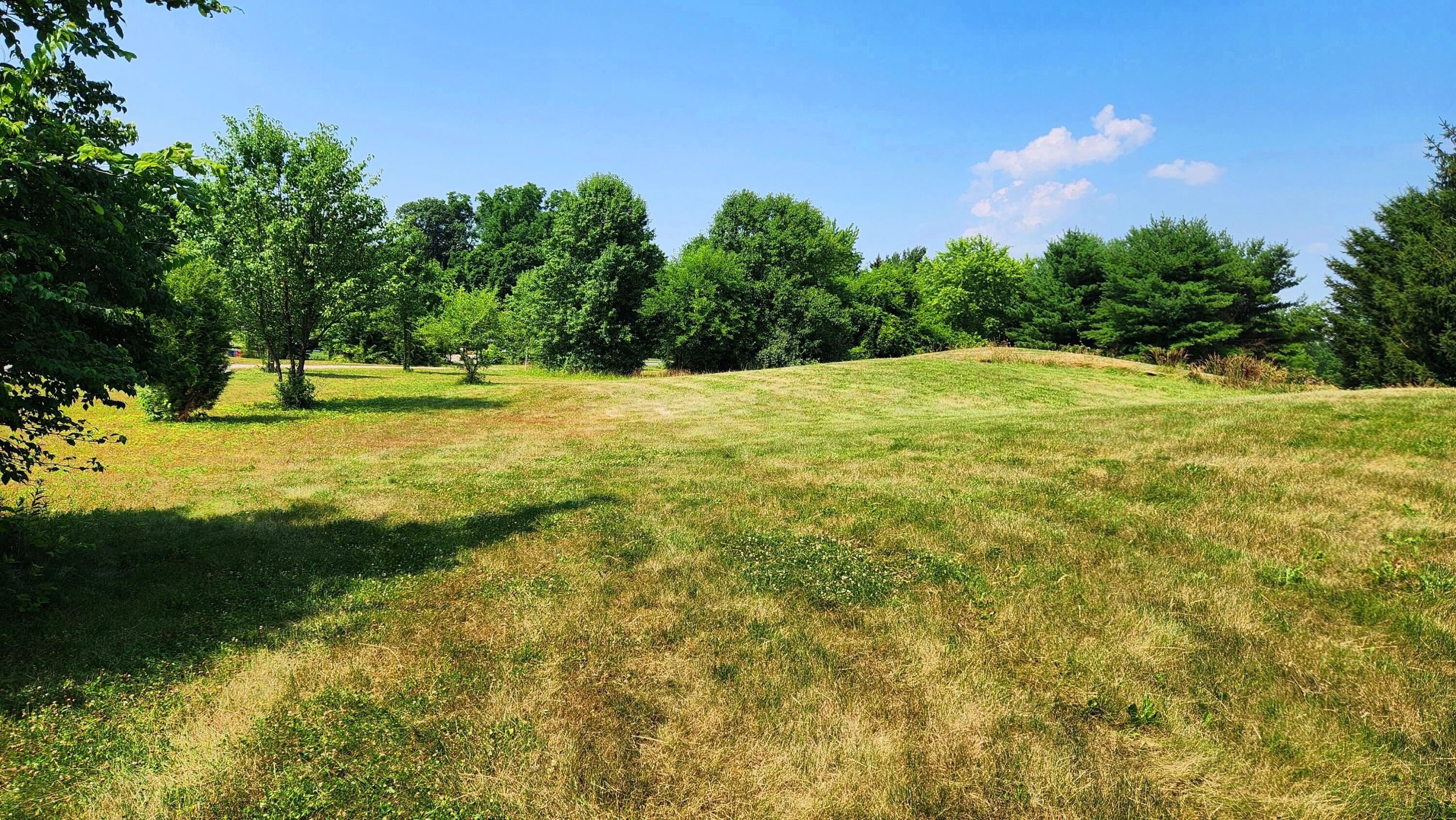 6714 Hagerty Road, (tract 6 Walnut Meadows) Property Photo 11