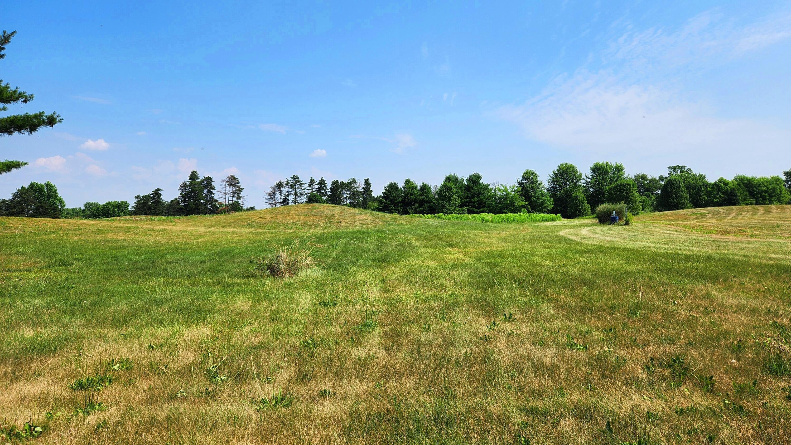 6714 Hagerty Road, (tract 6 Walnut Meadows) Property Photo 14
