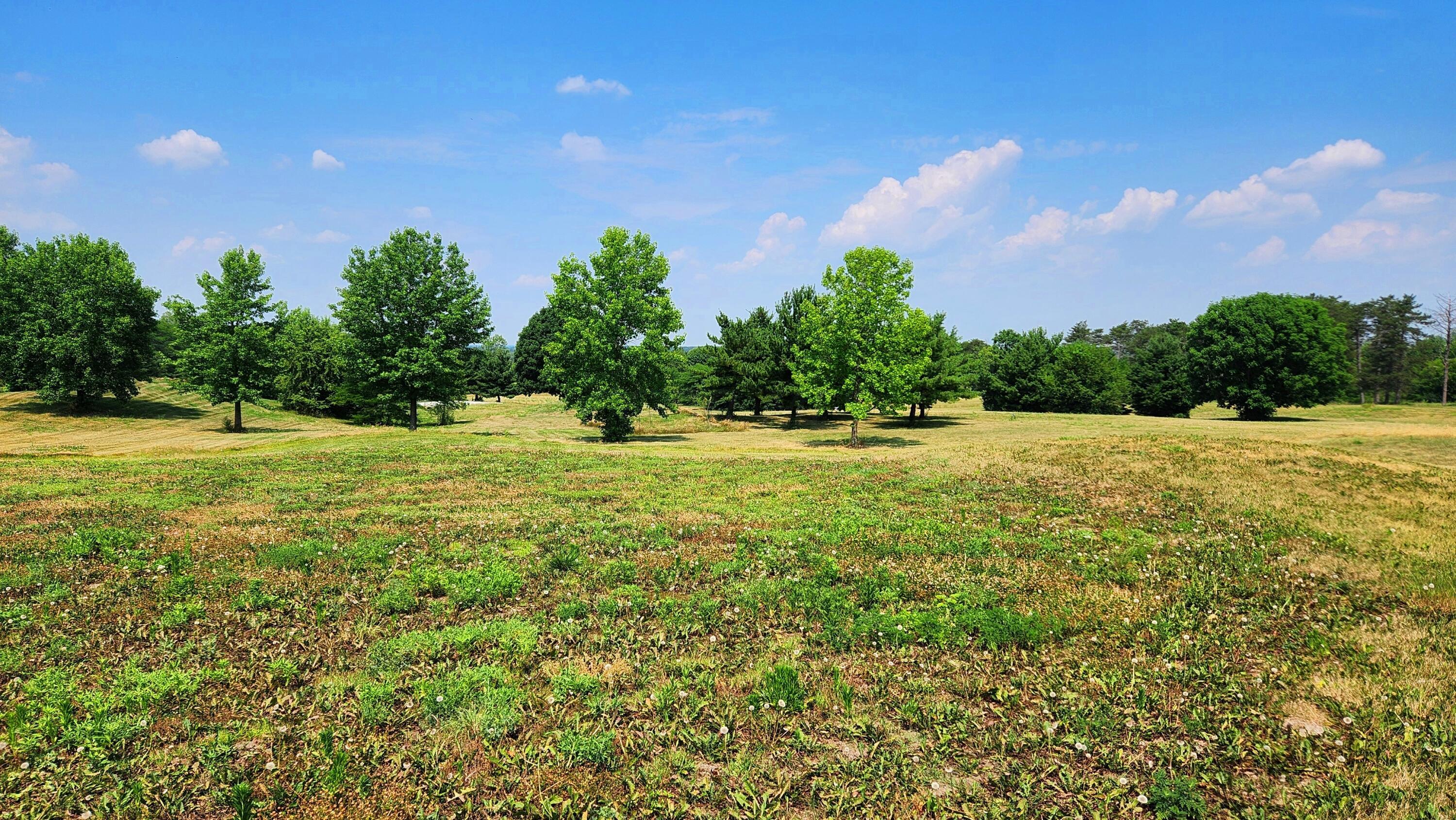 6714 Hagerty Road, (tract 6 Walnut Meadows) Property Photo 17