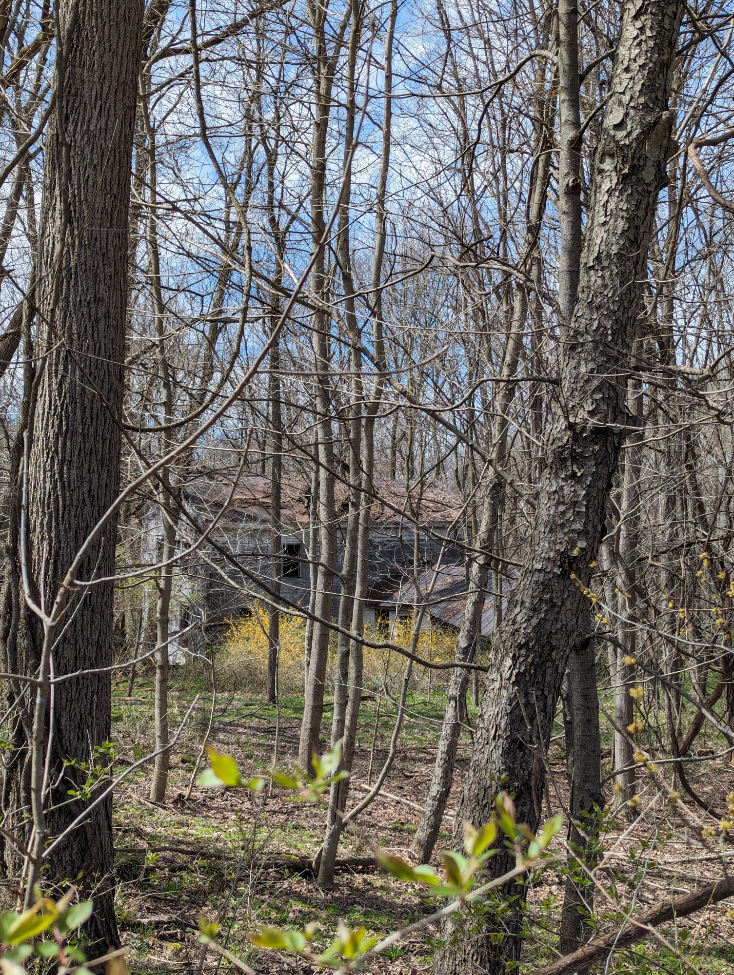 0 Dunham Road Property Photo 13