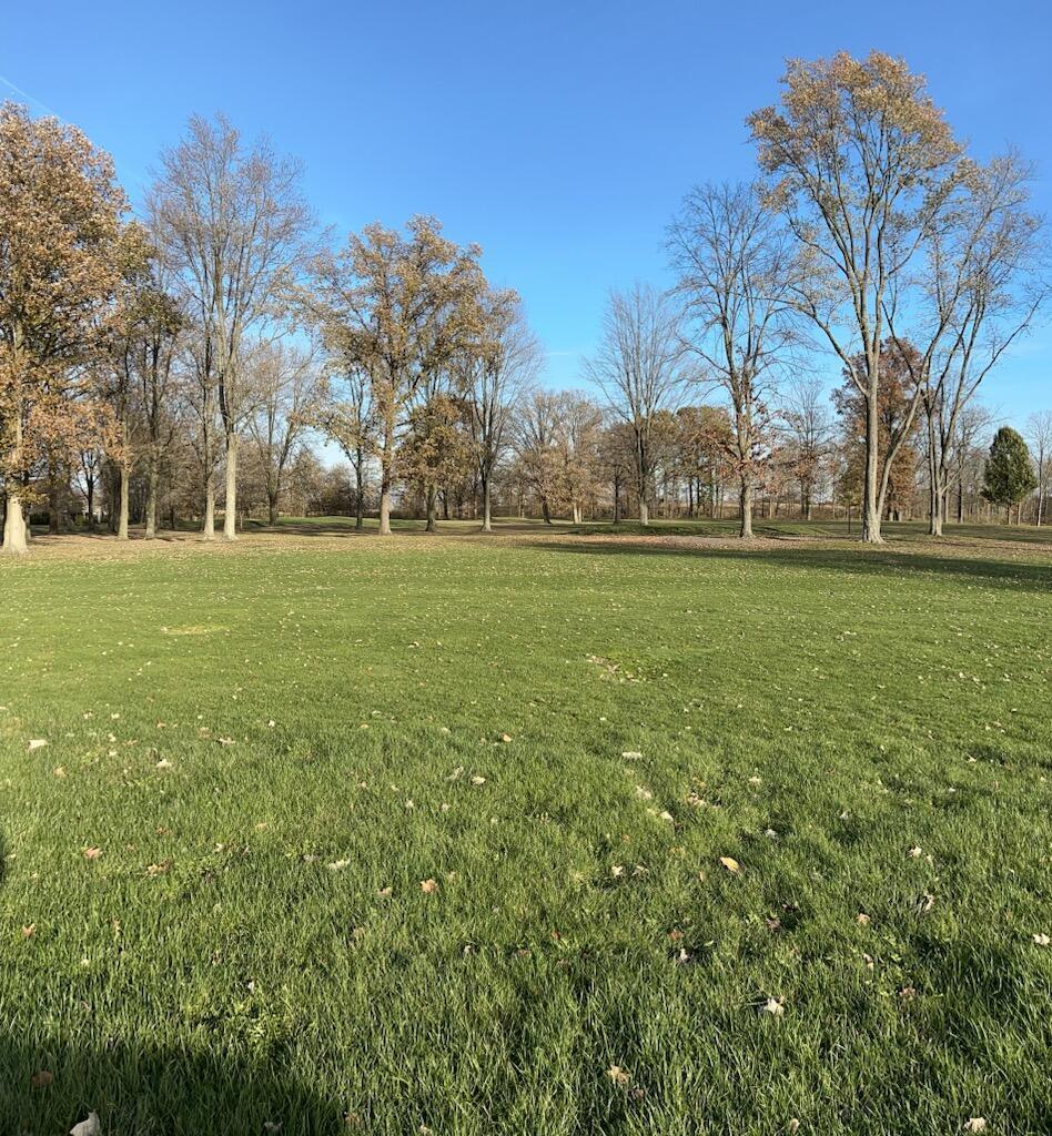 0 Anderson Ln, Lot 5 Property Photo 3