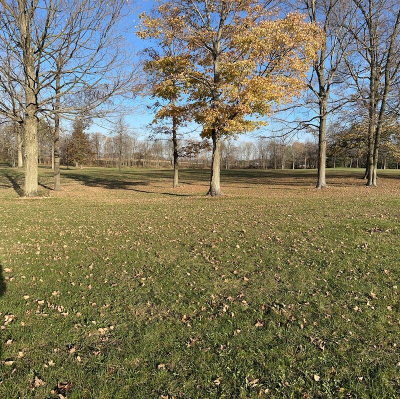 0 Anderson Ln, Lot 5 Property Photo 5