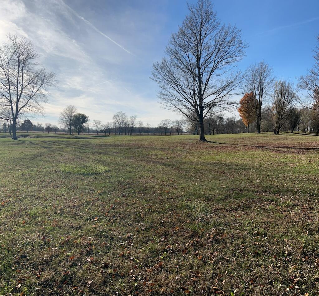 0 Anderson Ln, Lot 5 Property Photo 11