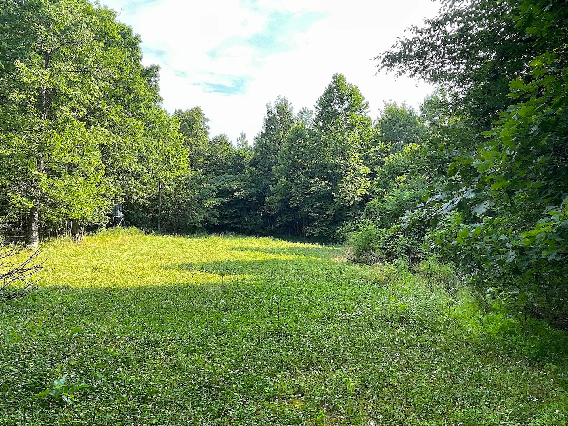 755 Collier Road Property Photo 12