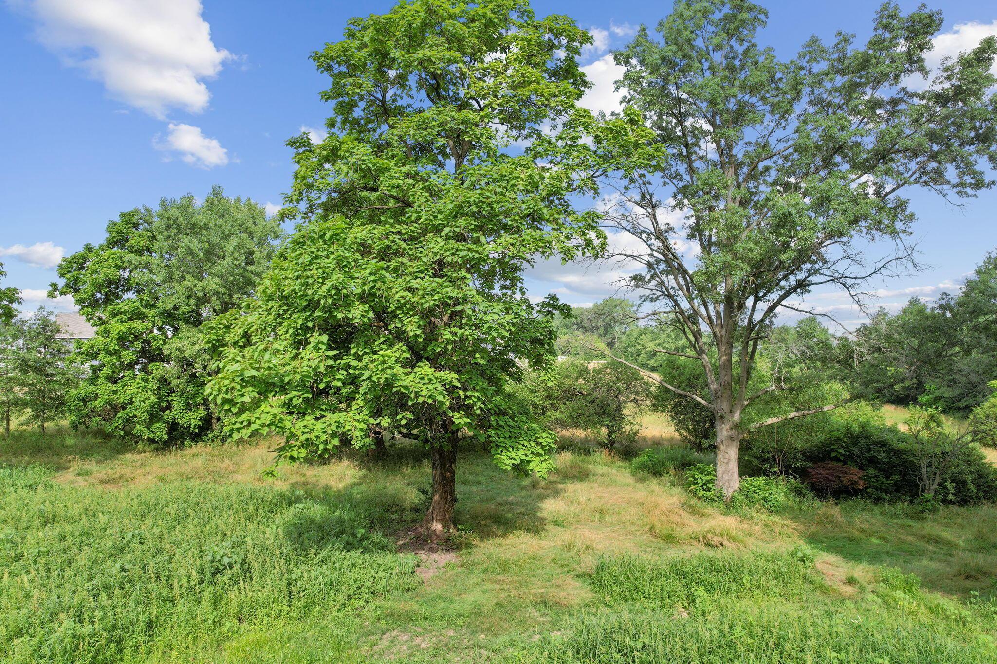 5284 Taylor Road Sw Property Photo 16