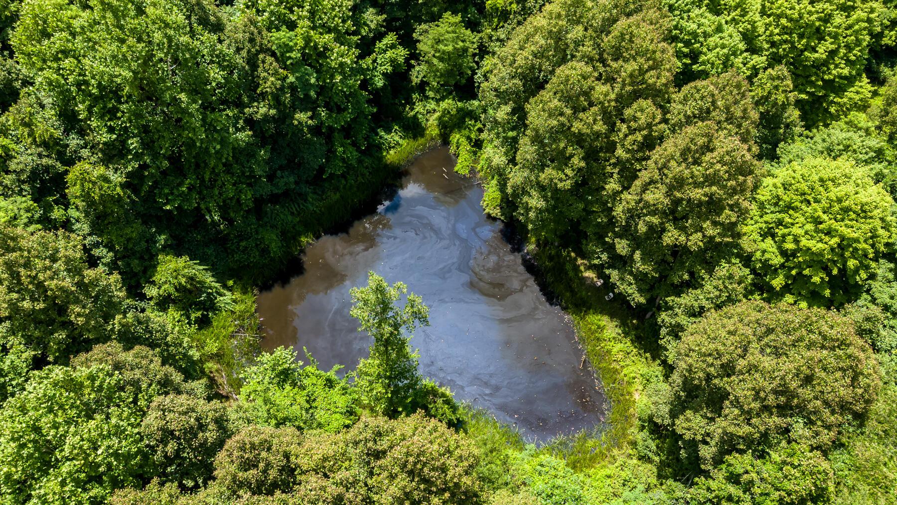 0 Little Road Property Photo 1