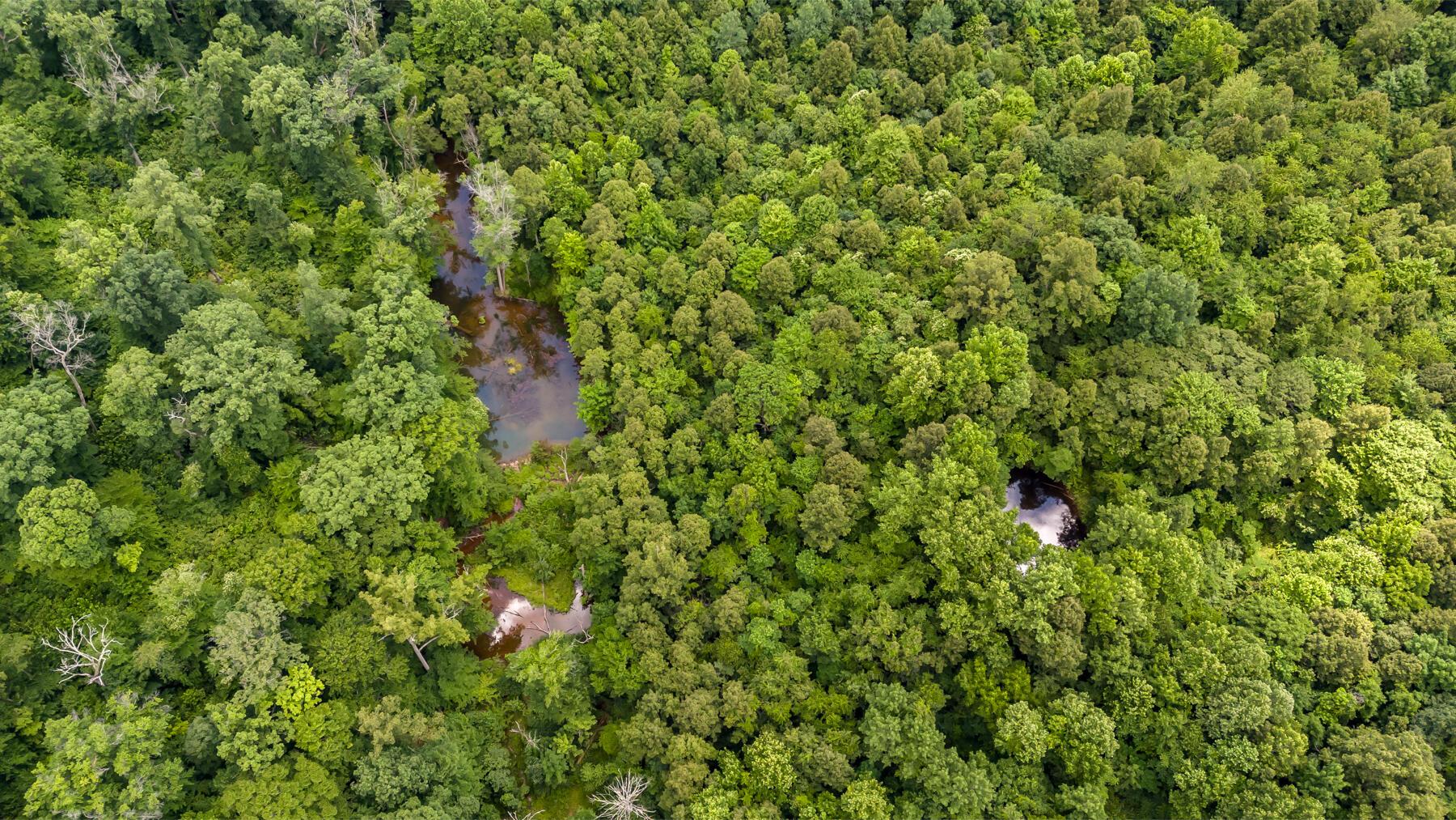 0 Little Road Property Photo 3