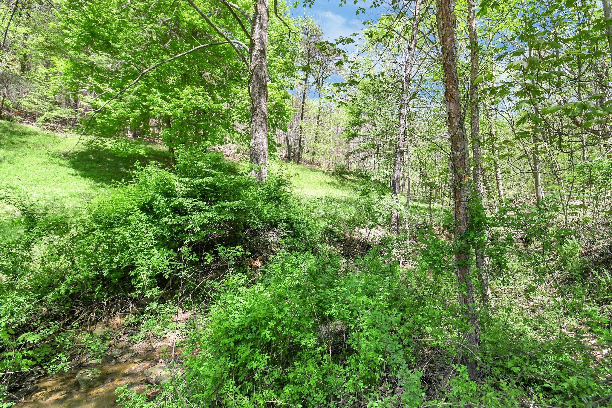 35041 Hunter Road Property Photo 45