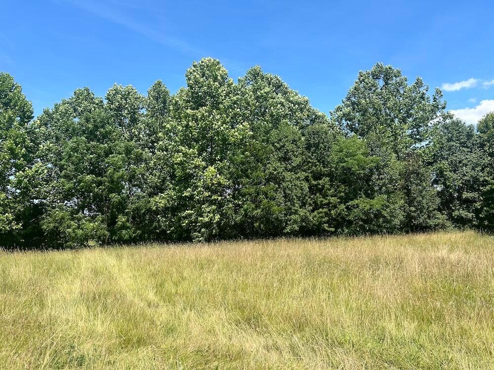 0 Sheridan Drive Property Photo 14