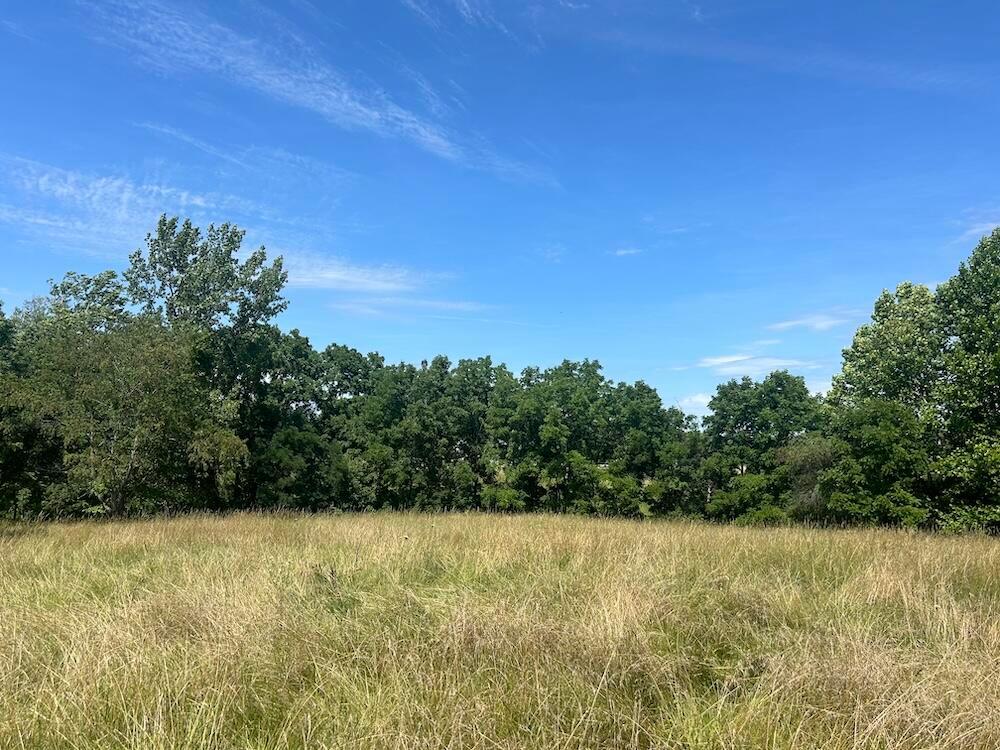0 Sheridan Drive Property Photo 15