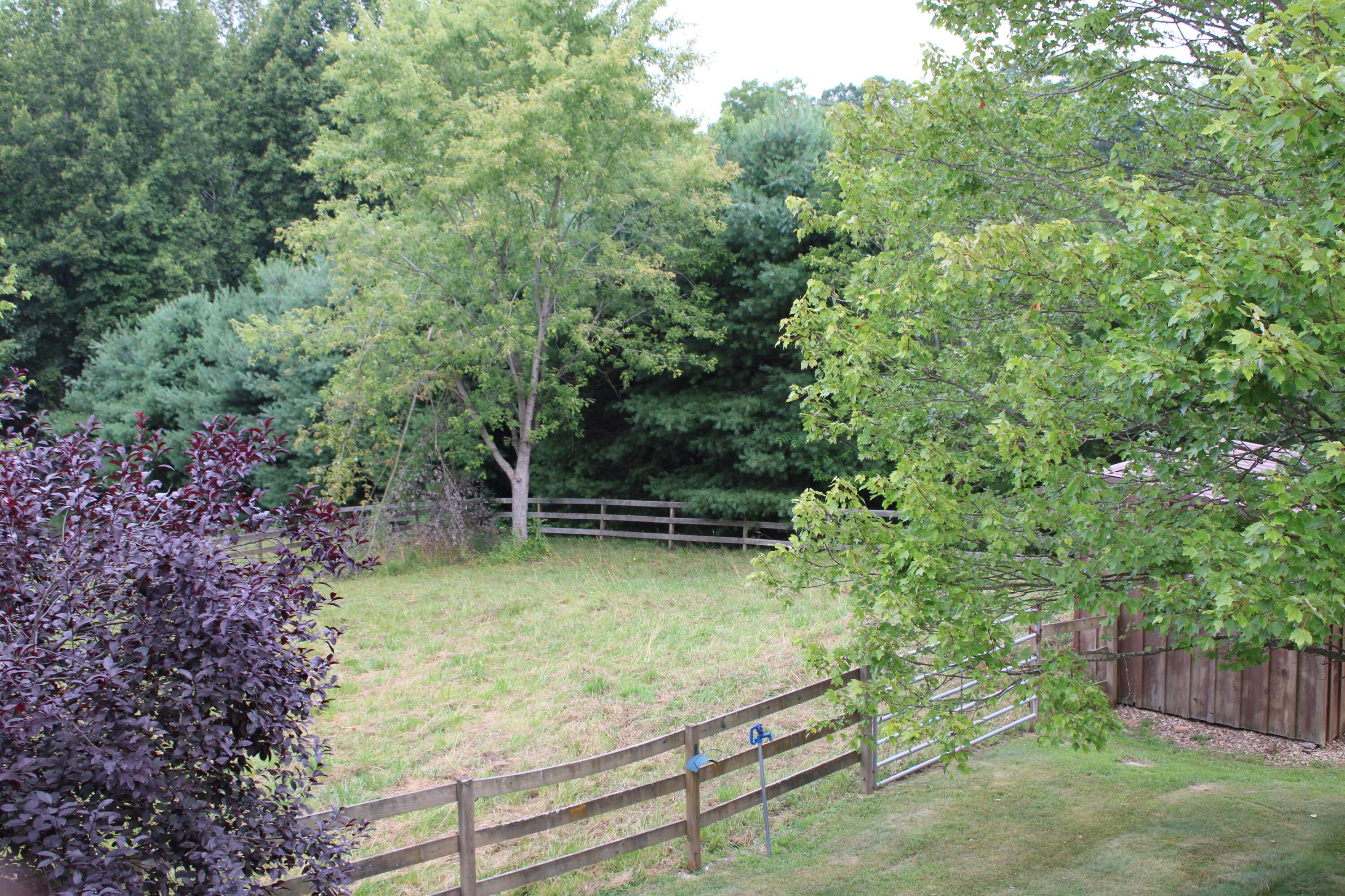 35 White Road Property Photo 24