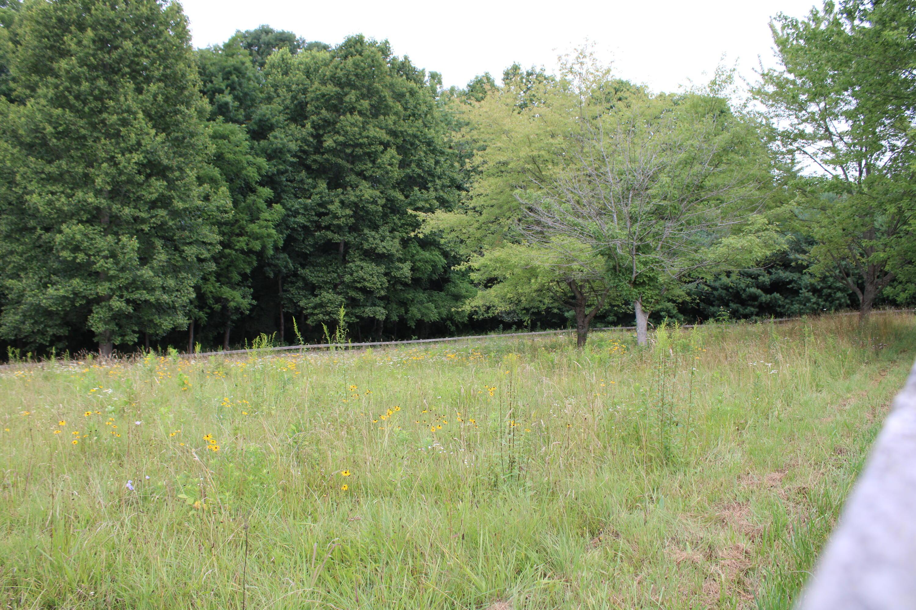 35 White Road Property Photo 38