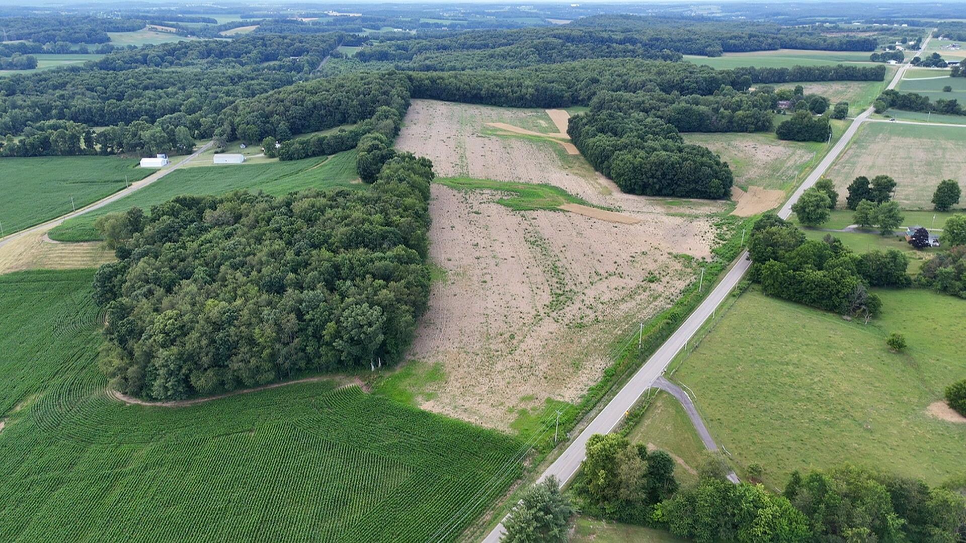 0 Dog Hollow Road, Lot #5 Property Photo 3