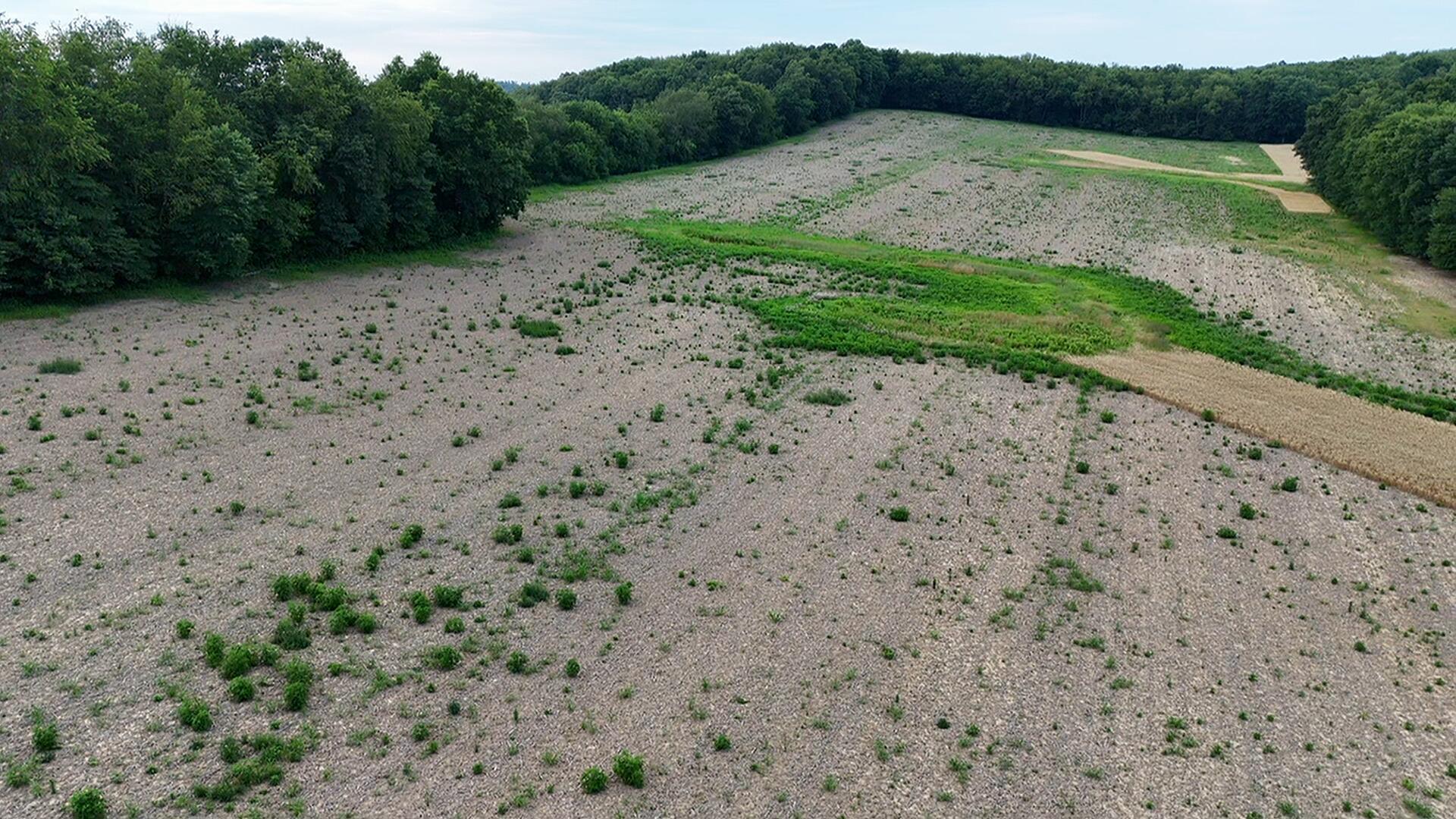 0 Dog Hollow Road, Lot #5 Property Photo 19