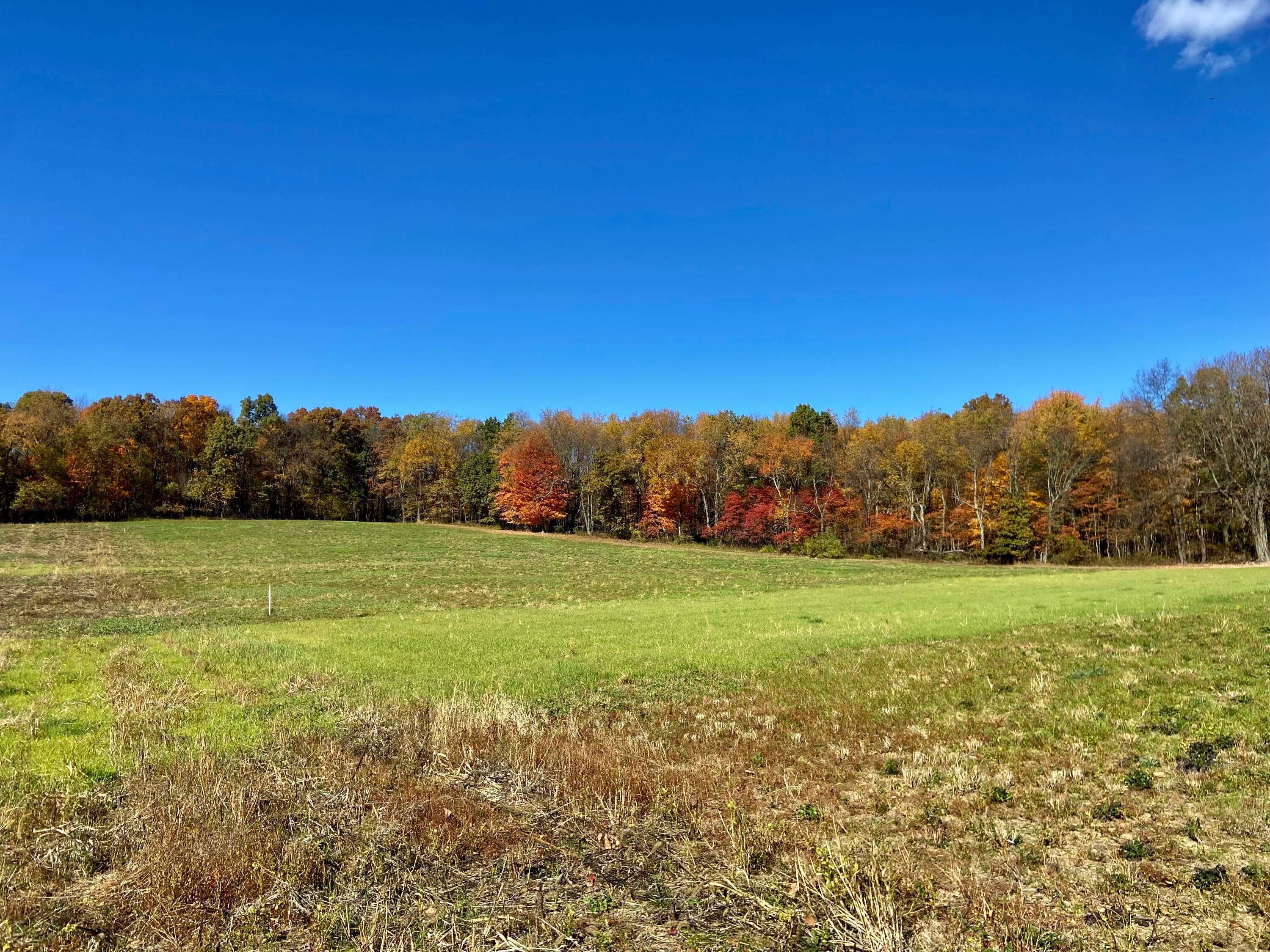 0 Dog Hollow Road, Lot #5 Property Photo 25