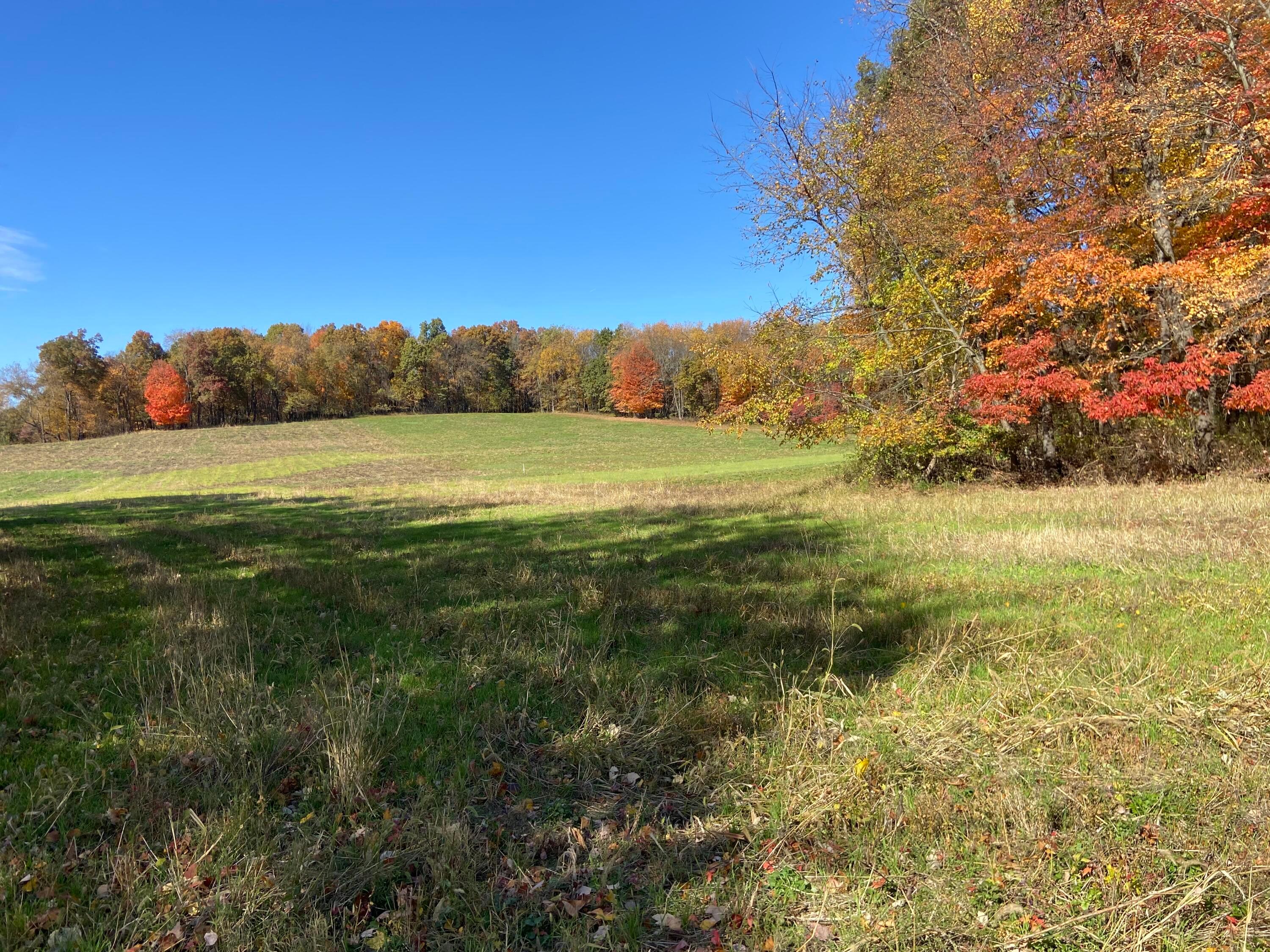 0 Dog Hollow Road, Lot #5 Property Photo 28